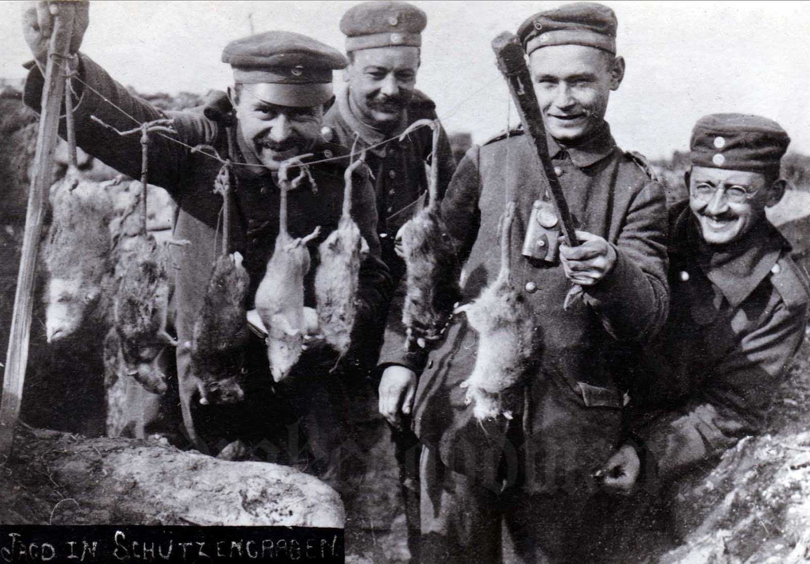 Rats on German trenches. The rat problem remained for the duration of the war (although many veteran soldiers swore that rats sensed impending heavy enemy shellfire and consequently disappeared from view). 