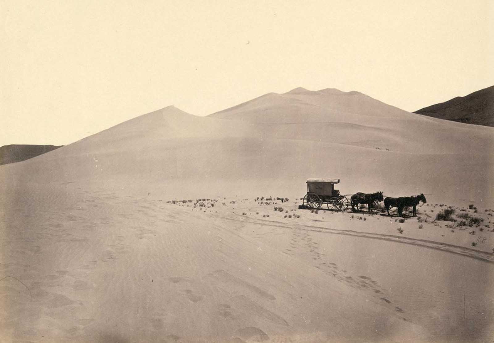Timothy O'Sullivan's darkroom wagon, pulled by four mules, entered the frame at the right side of the photograph, reached the center of the image, and turned around, heading back out of the frame. Footprints lead from the wagon toward the camera, revealing the photographer's path. Photo taken in 1867, in the Carson Sink, part of Nevada's Carson Desert.