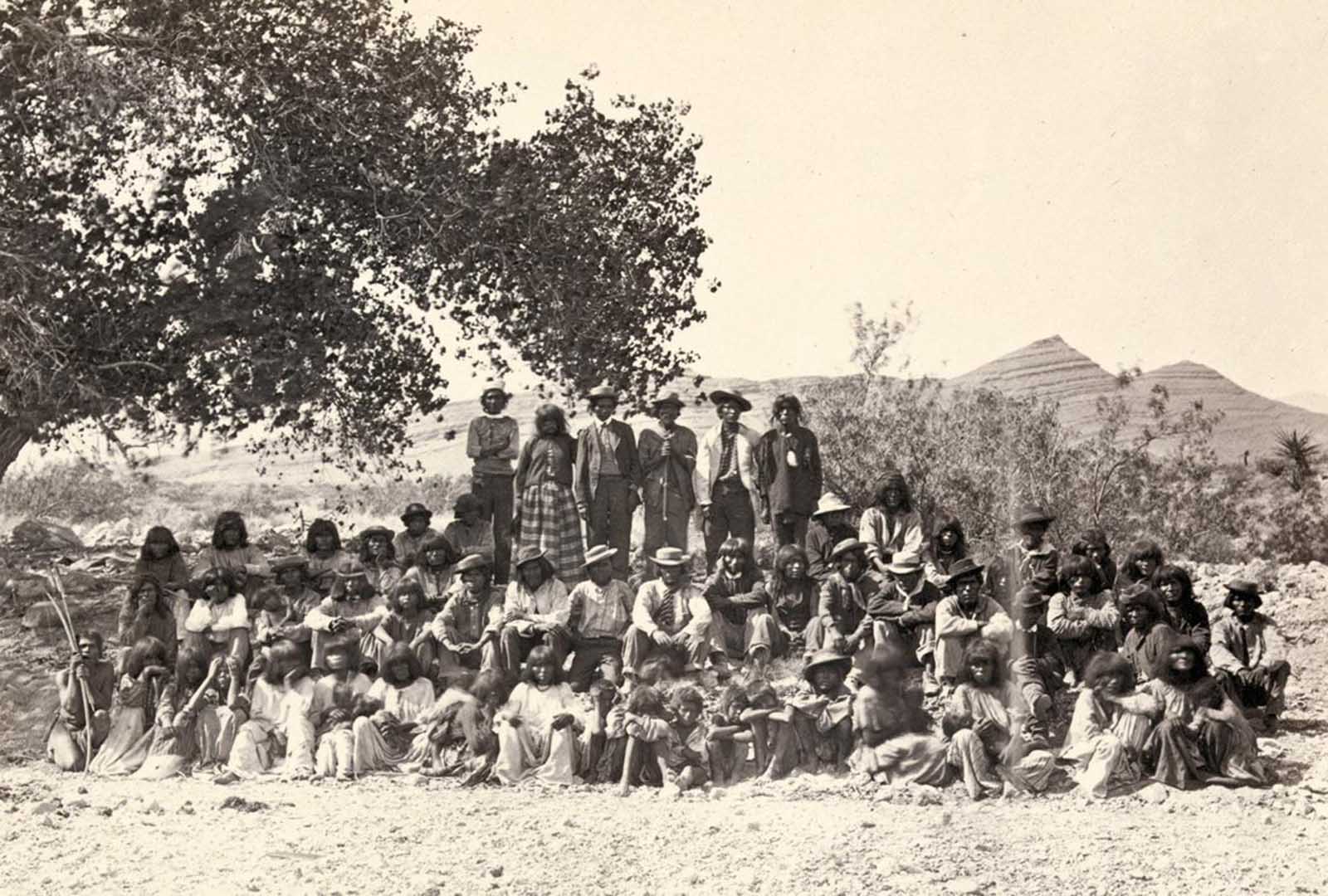Native American (Paiute) men, women and children sit or stand and pose in rows under a tree near probably Cottonwood Springs (Washoe County), Nevada, in 1875.