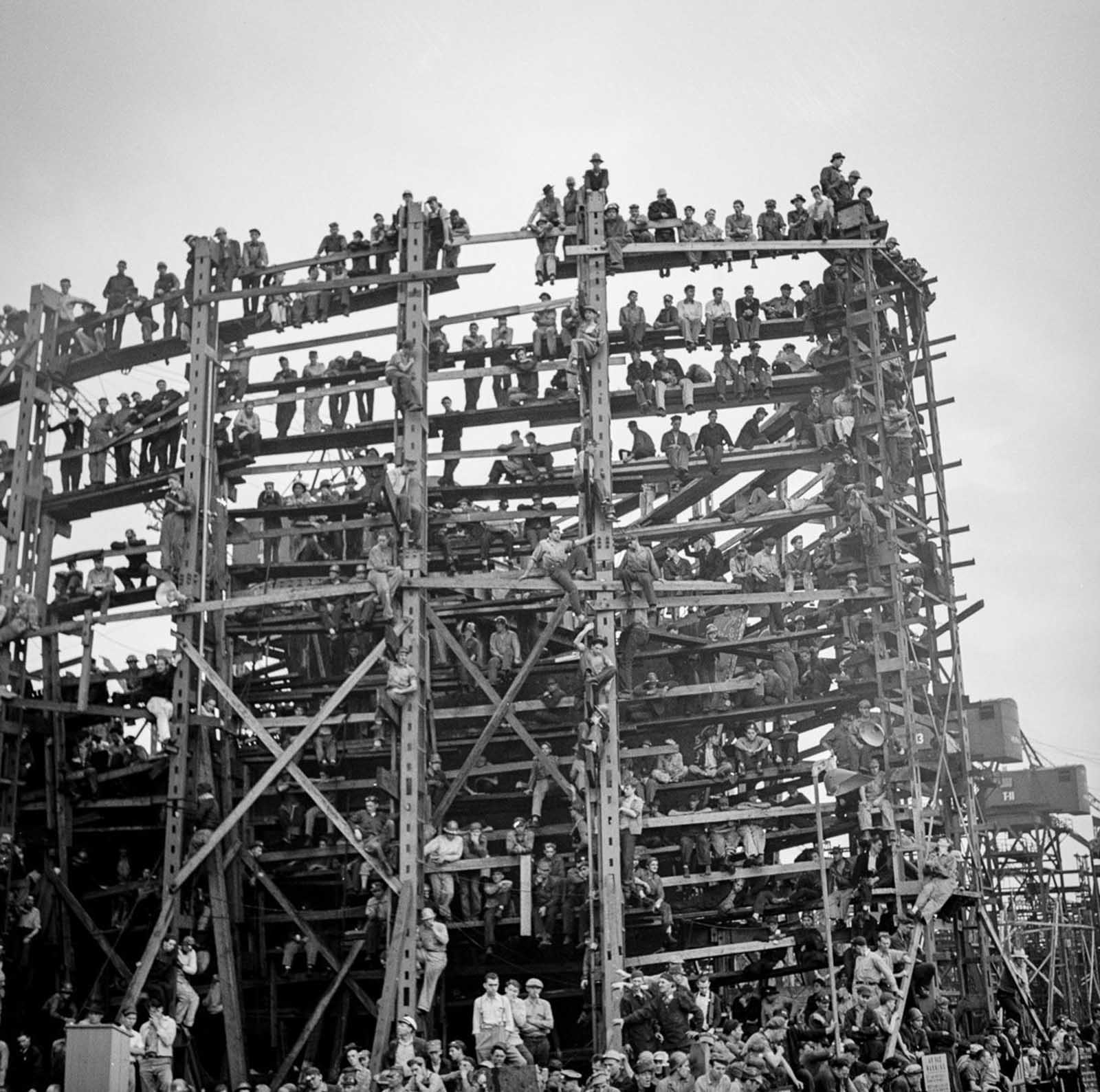 The structure looks really strong.