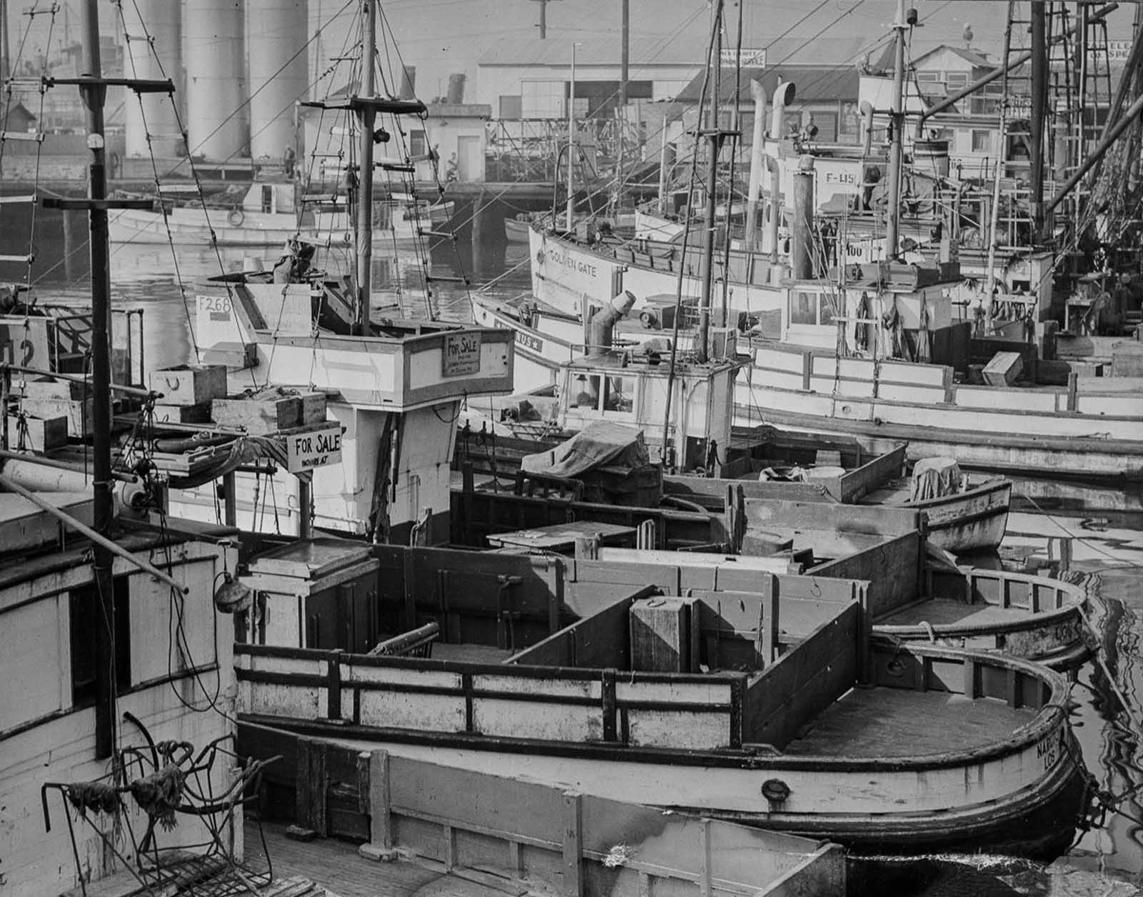 Japanese-American-owned fishing boats sit idle in Los Angeles harbor.