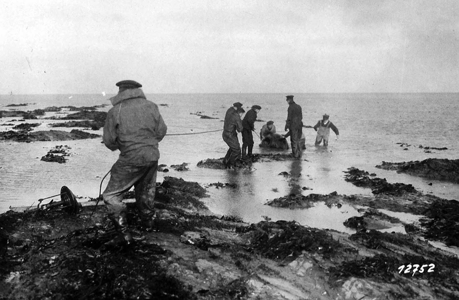 A mine is dragged ashore on Heligoland, in the North Sea, on October 29, 1918.