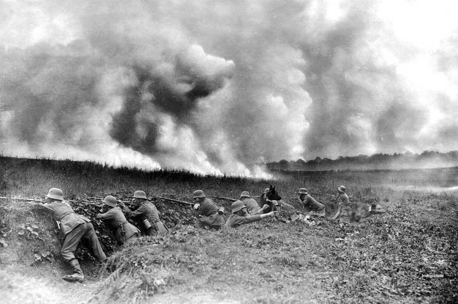 Gas attack on the West Front, near St. Quentin 1918—a German messenger dog loosed by his handler. Dogs were used throughout the war as sentries, scouts, rescuers, messengers, and more.