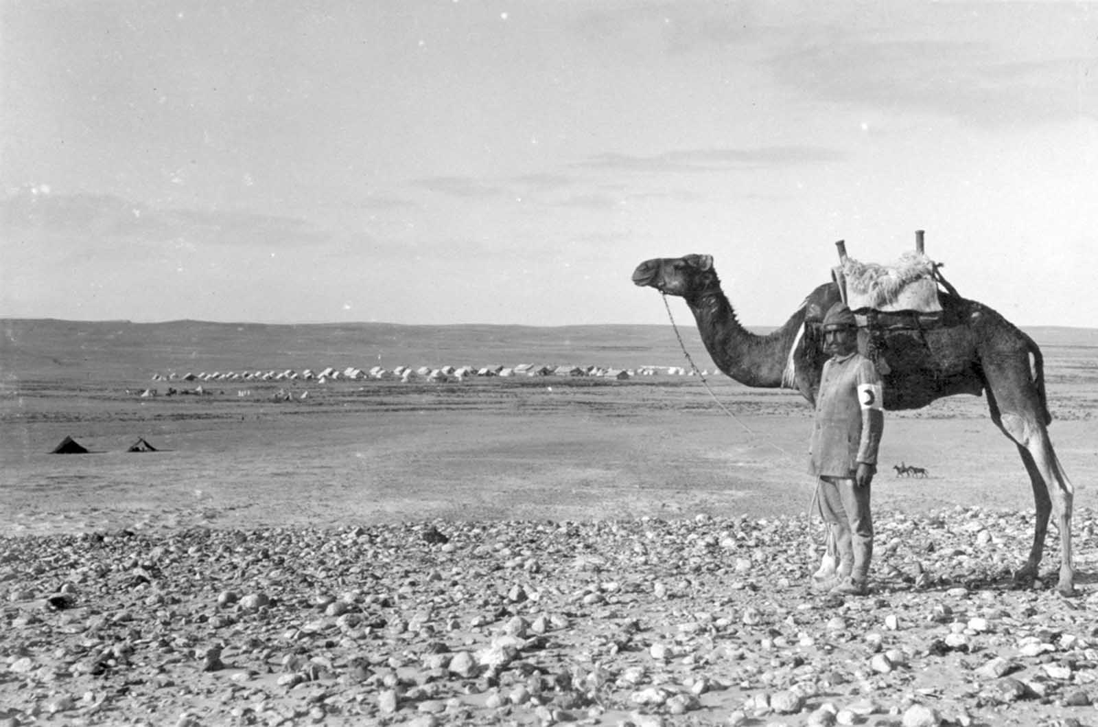 Red Crescent Hospital at Hafir Aujah, 1916.