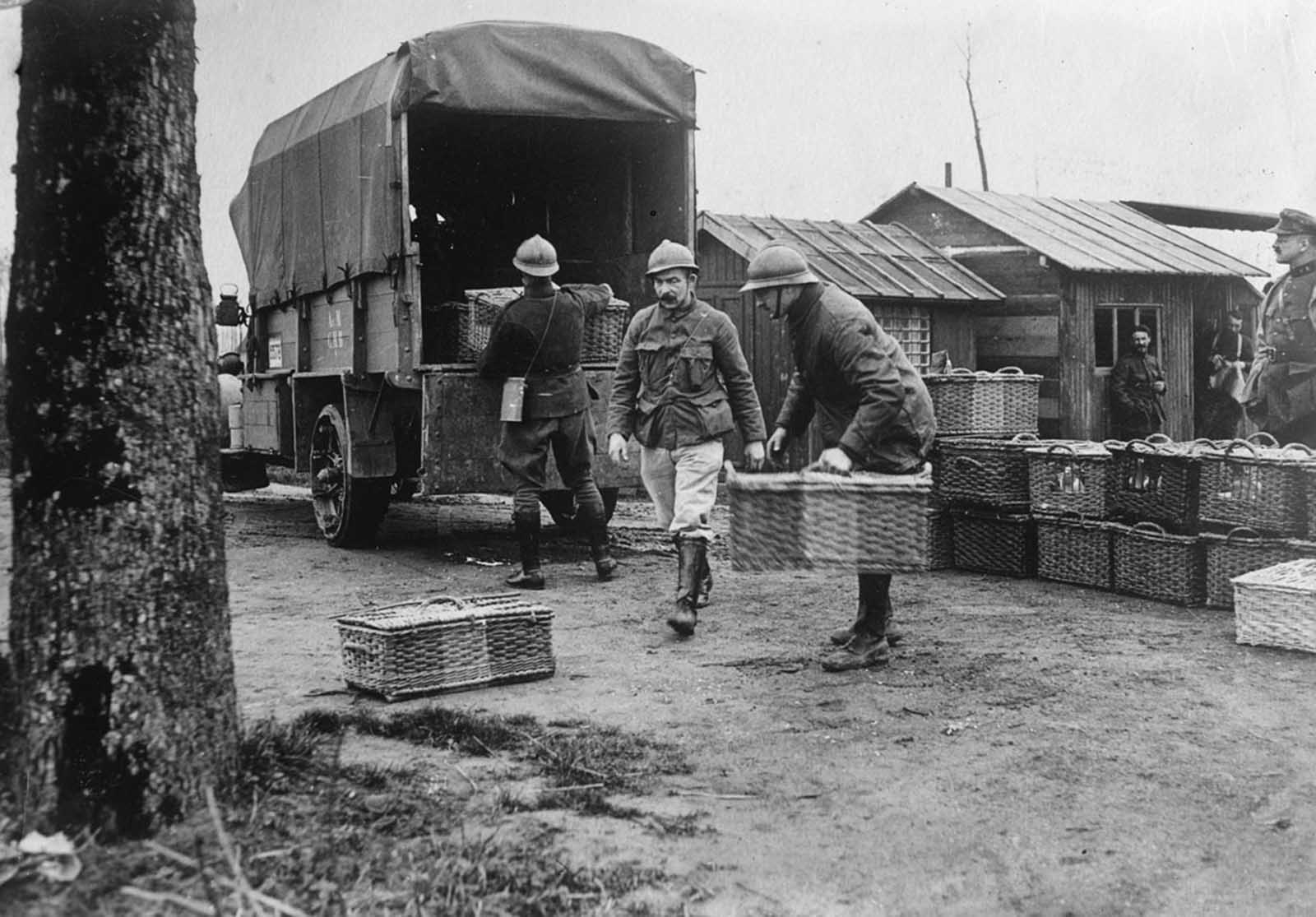Belgian Army pigeons. Homing pigeon stations were set up behind the front lines, the pigeons themselves sent forward, to return later with messages tied to their legs.