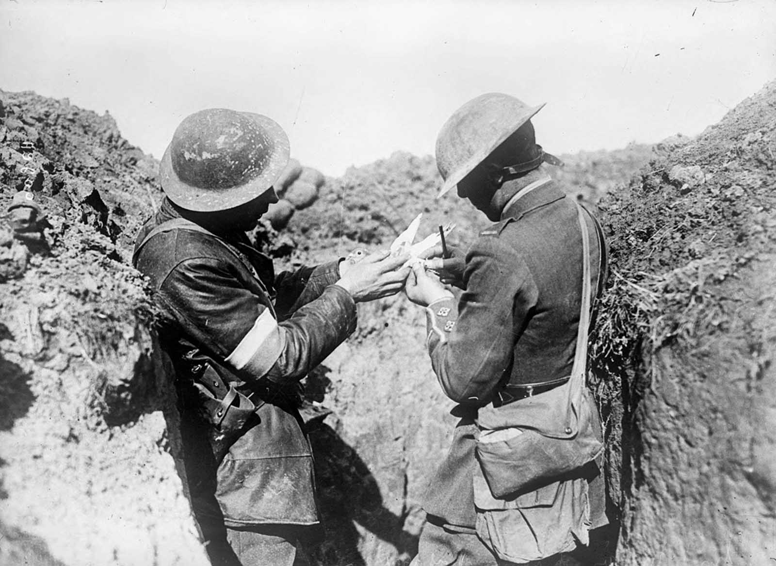 A message is attached to a carrier pigeon by British troops on the Western Front, 1917. One of France's homing pigeons, named Cher Ami, was awarded the French