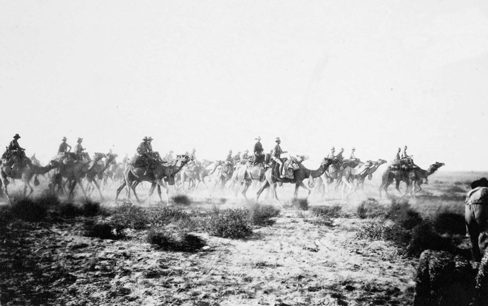 Australian Camel Corps going into action at Sharia near Beersheba, in December of 1917. The Colonel and many of these men were killed an hour or so afterward.