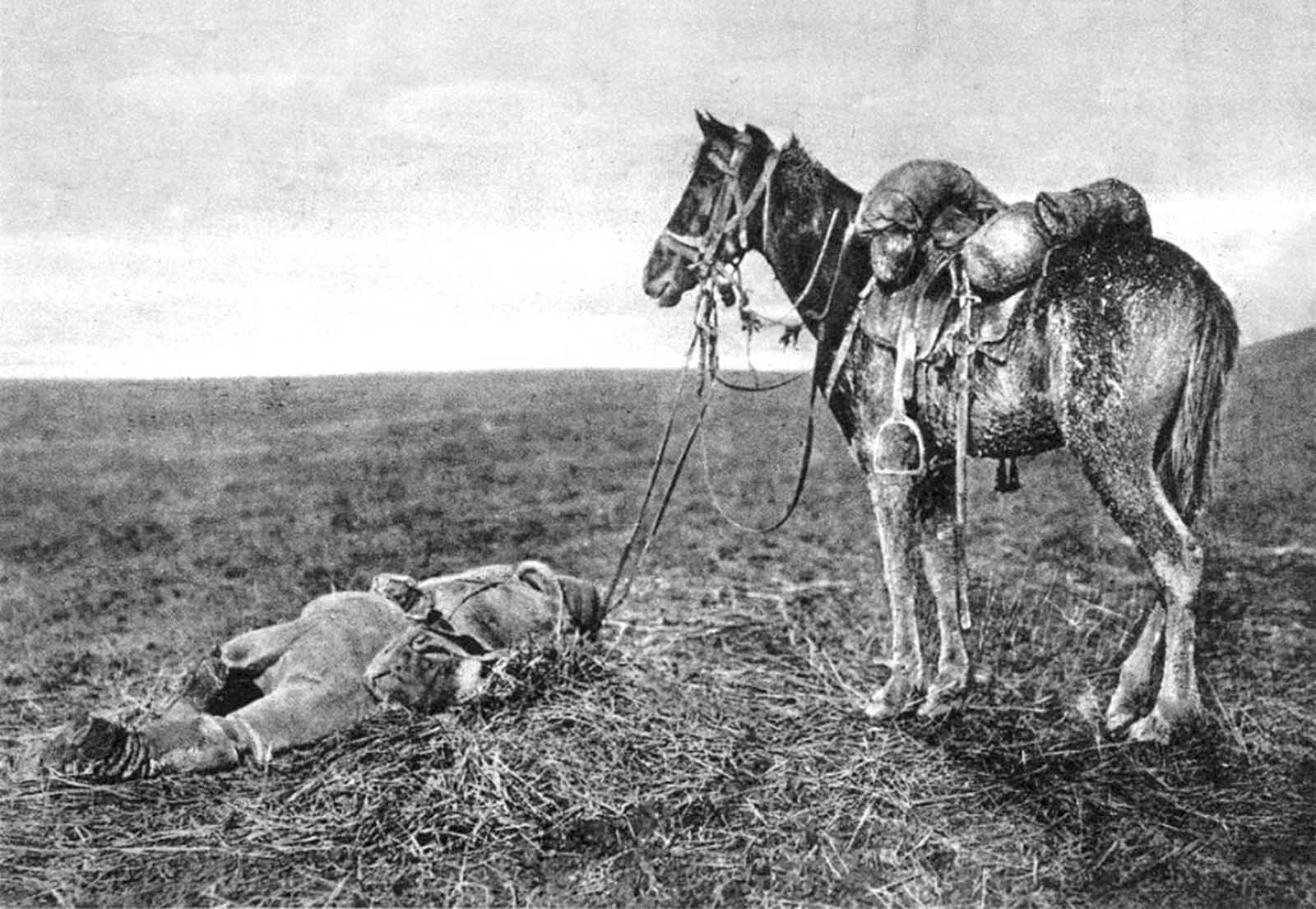 An episode in Walachia, Romania.