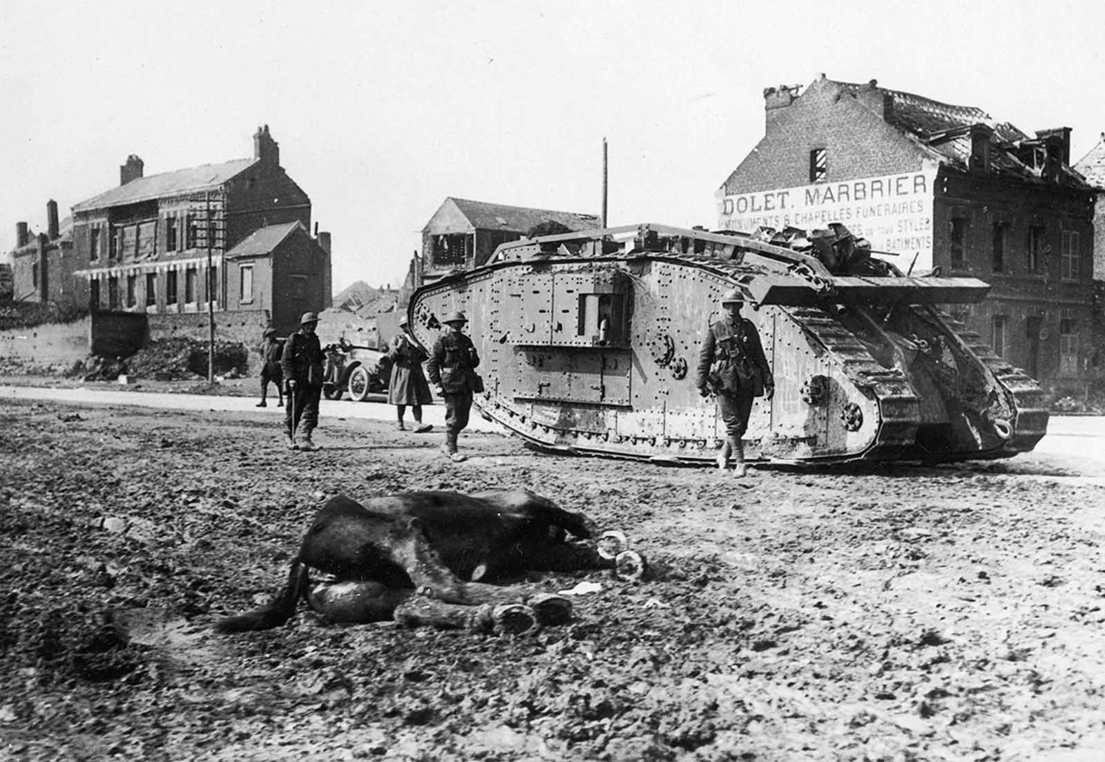 A British Mark V tank passes by a dead horse in the road in Peronne, France in 1918.