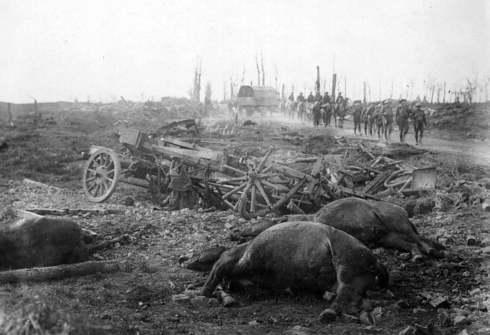Dead horses and a broken cart on Menin Road, troops in the distance, Ypres sector, Belgium, in 1917. Horses meant power and agility, hauling weaponry, equipment, and personnel, and were targeted by enemy troops to weaken the other side -- or were captured to be put in use by a different army.