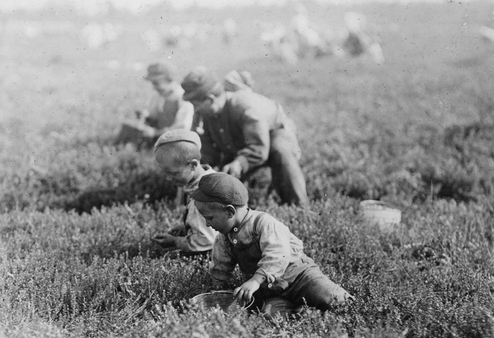 The photographer found the Arnao family, children and all, working on Hichens farm in Cannon, Delaware, on May 28, 1910. Their children are 3, 6, and 9 years old.