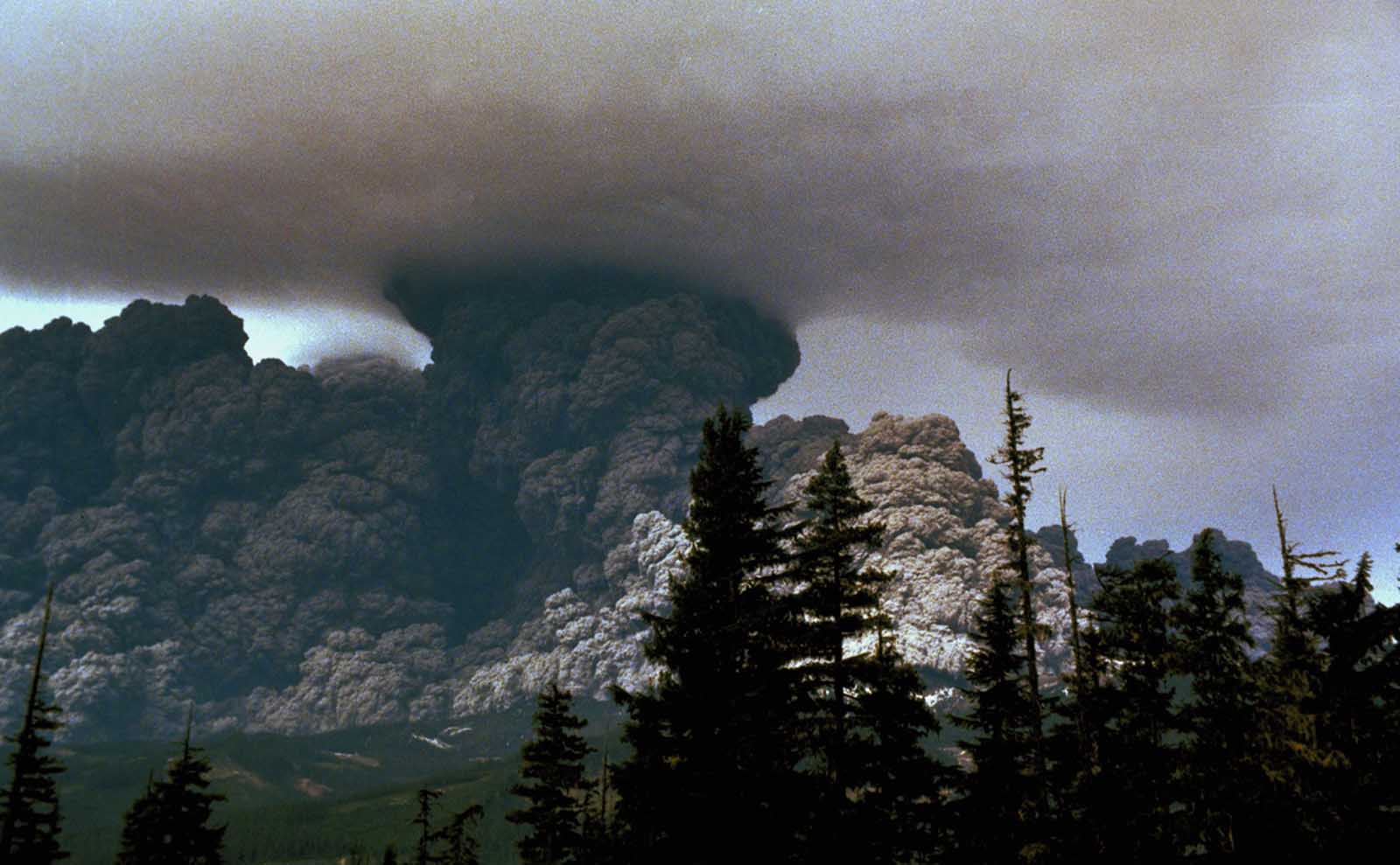 Mount St. Helens erupts on May 18, 1980.