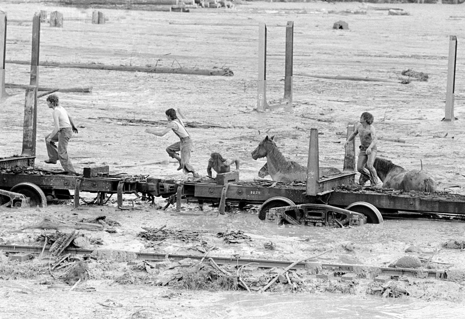 Bob Brown (right) and John Brown climb onto railroad car, heading down the train along with two additional would-be horse rescuers, giving up their efforts as they flee for their lives as flood waters from the Toutle River begin a sudden rise on May 19, 1980. All four people reached safety but the horses are presumed to have drowned.