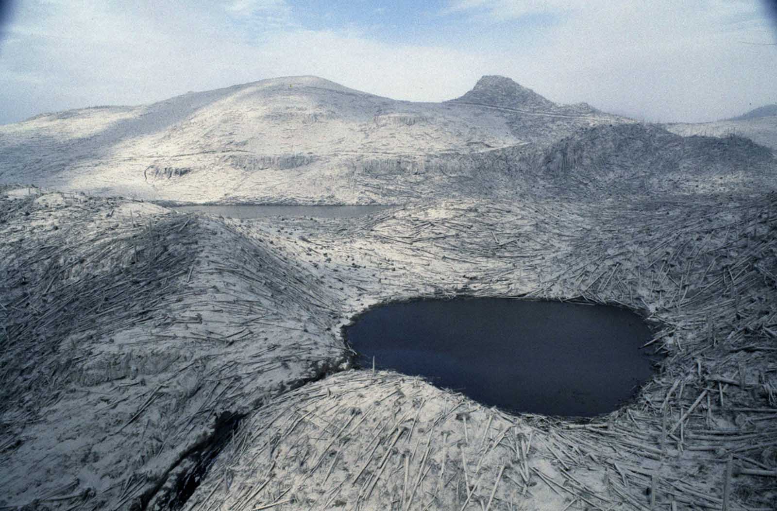 Denuded trees lay like matchsticks in the changed landscape around Mount St. Helens, shown two days after eruption, on May 20, 1980.