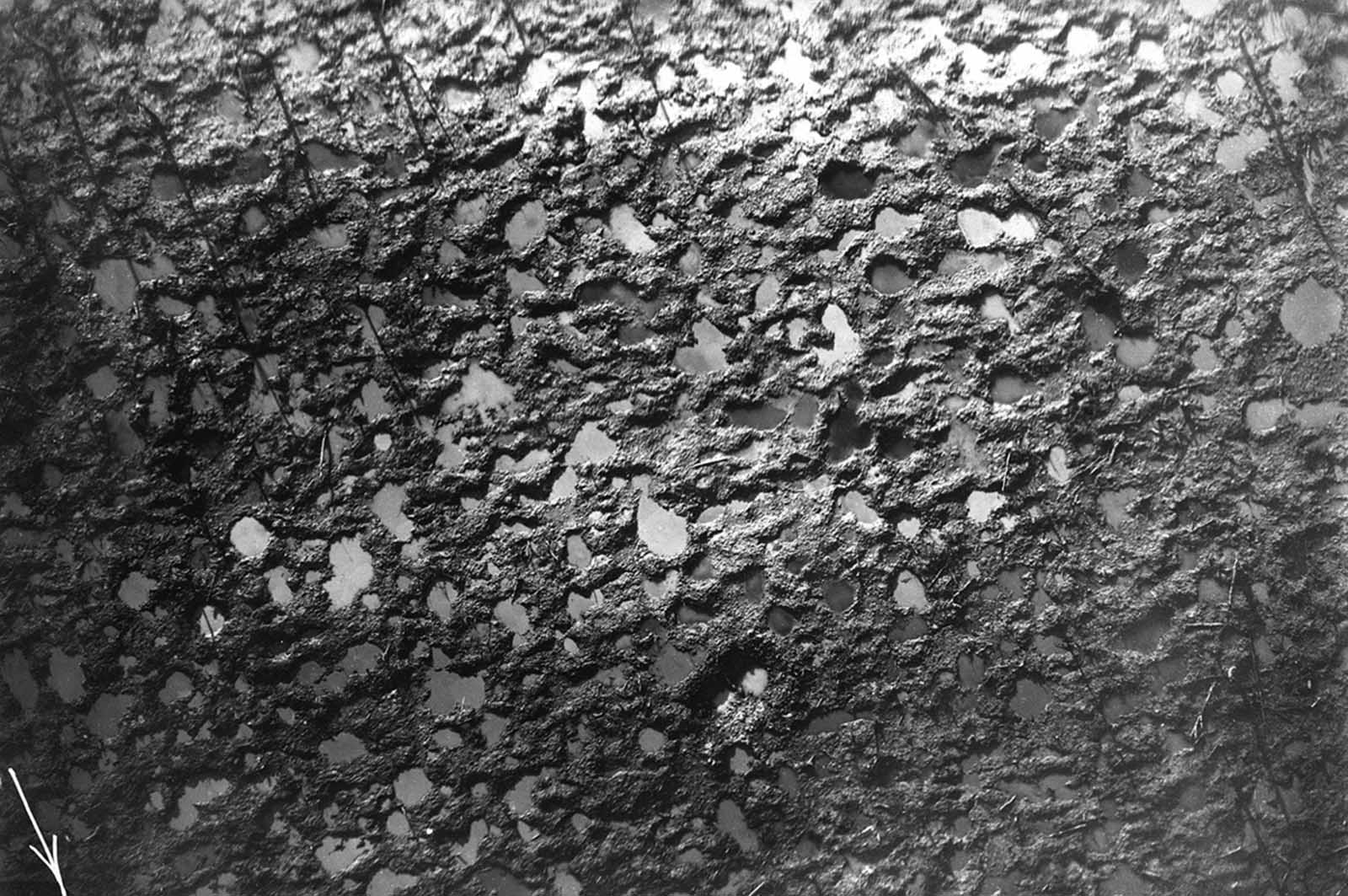 Aerial photo of a cratered battlefield. The dark diagonal lines are the shadows of the few remaining tree trunks.
