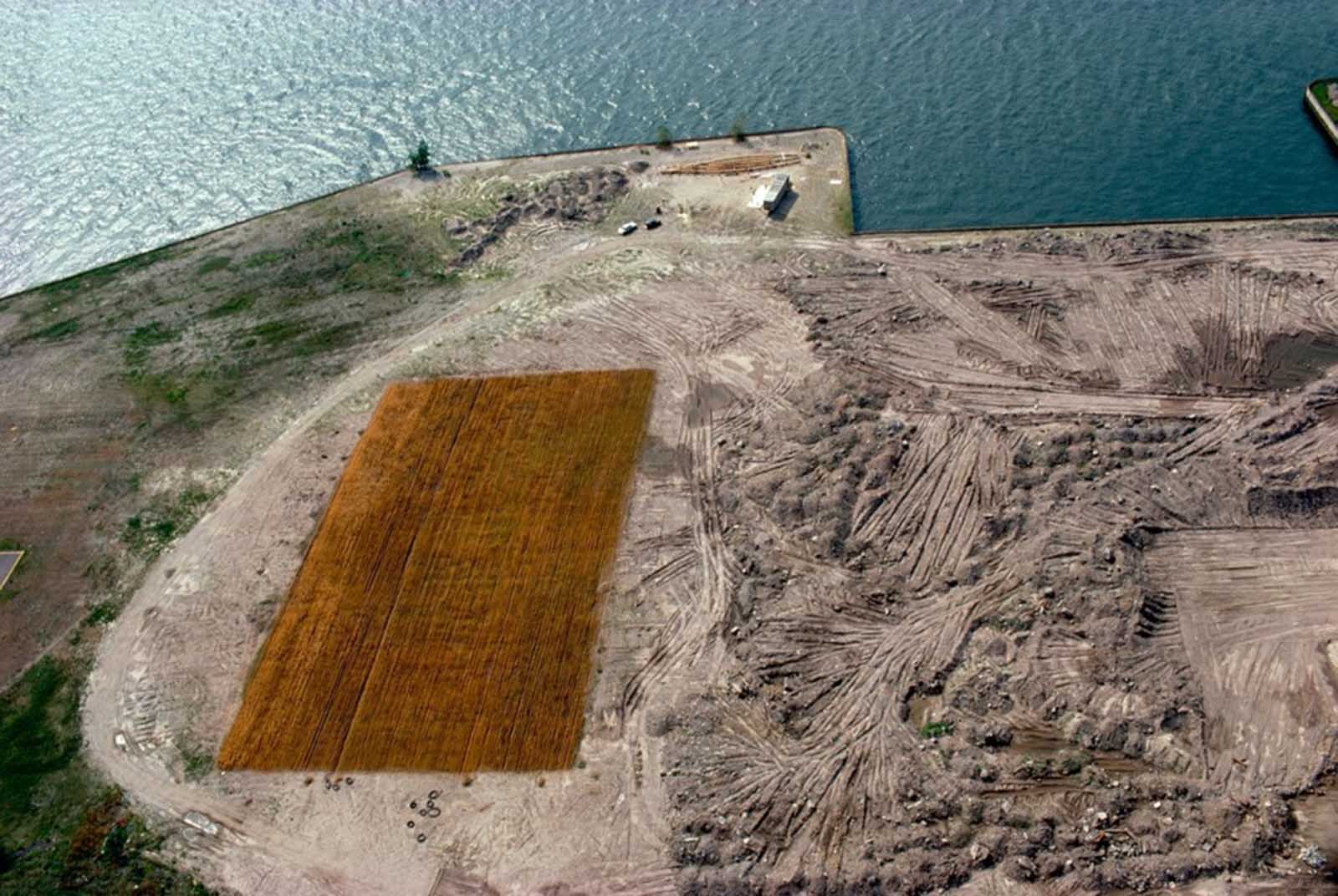 Aerial View.