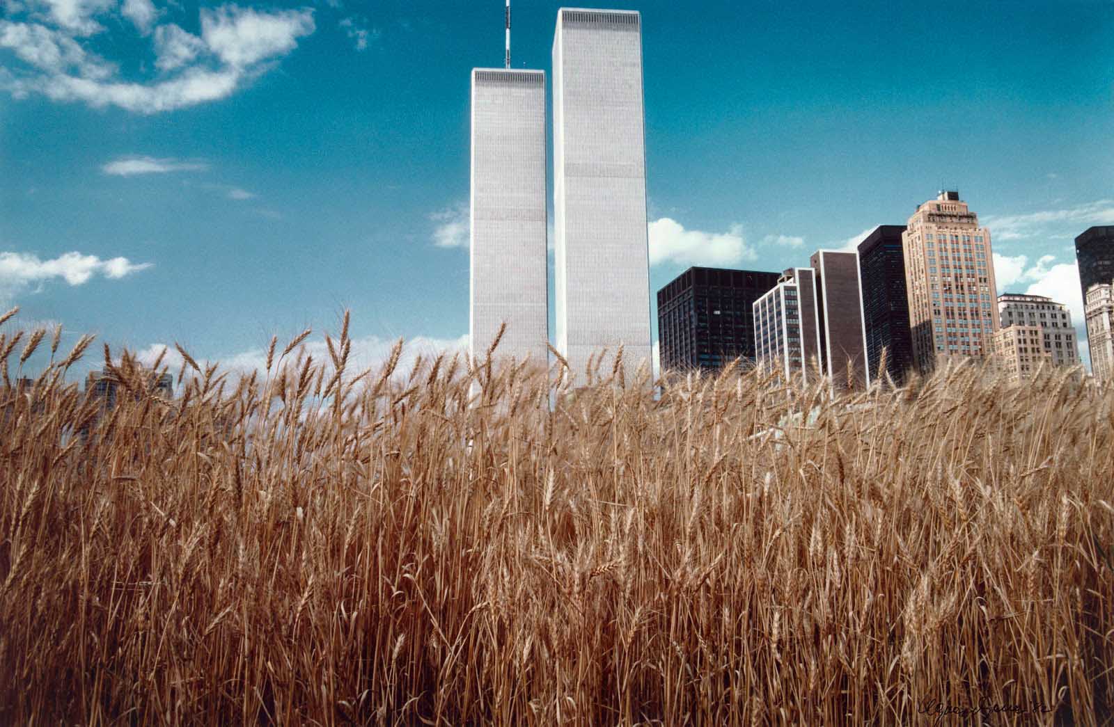 Blue sky and the World Trade Center.