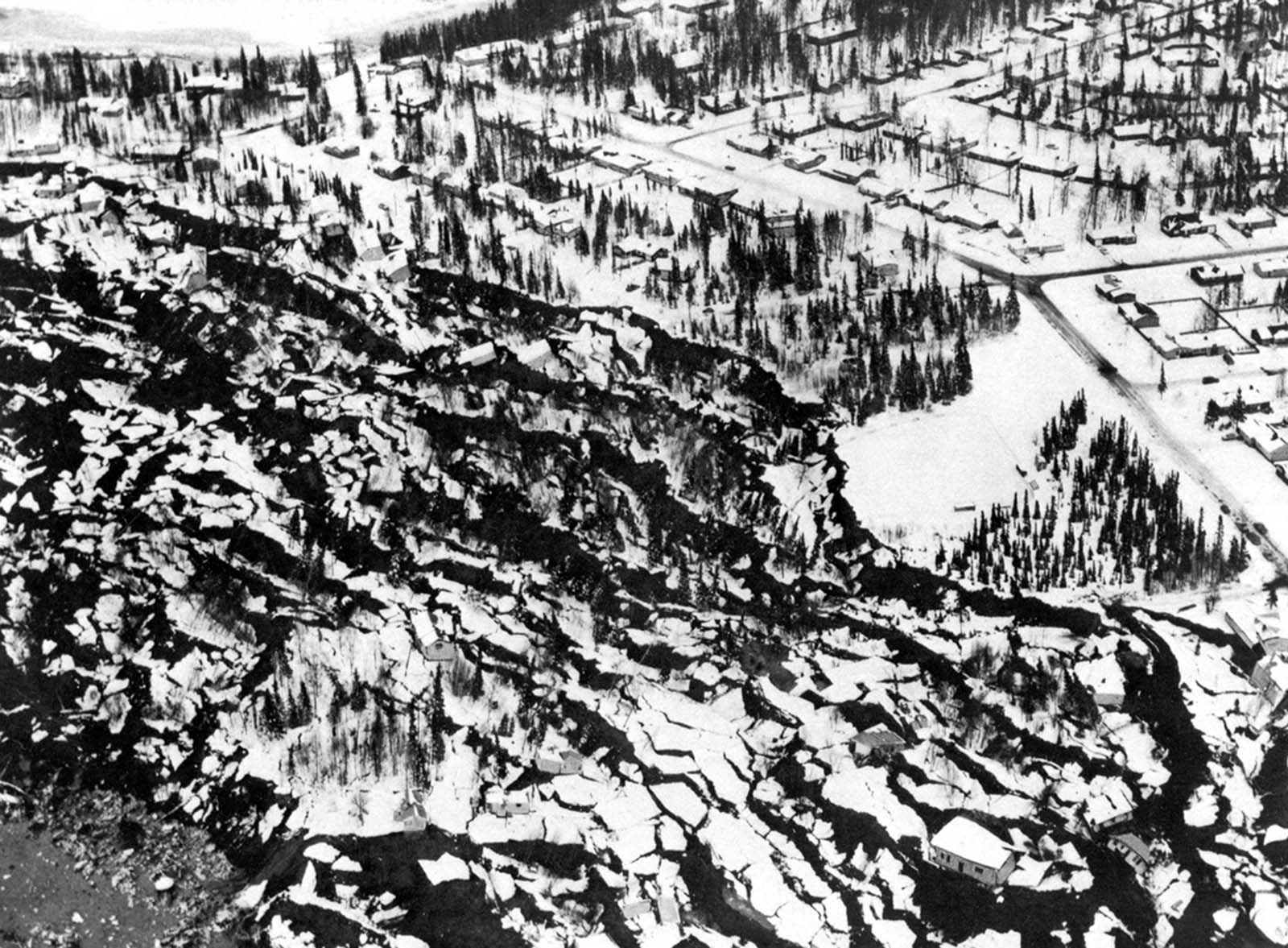 An Anchorage neighborhood name Turnagain Heights was partially destroyed by a landslide shortly after the earthquake.