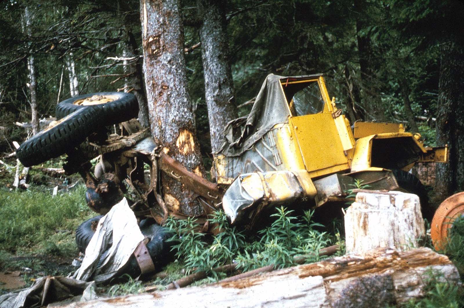 This truck was bent around a tree by the surge waves generated by the underwater landslides along the Seward waterfront. The truck was about 32 feet above water level at the time of the earthquake.