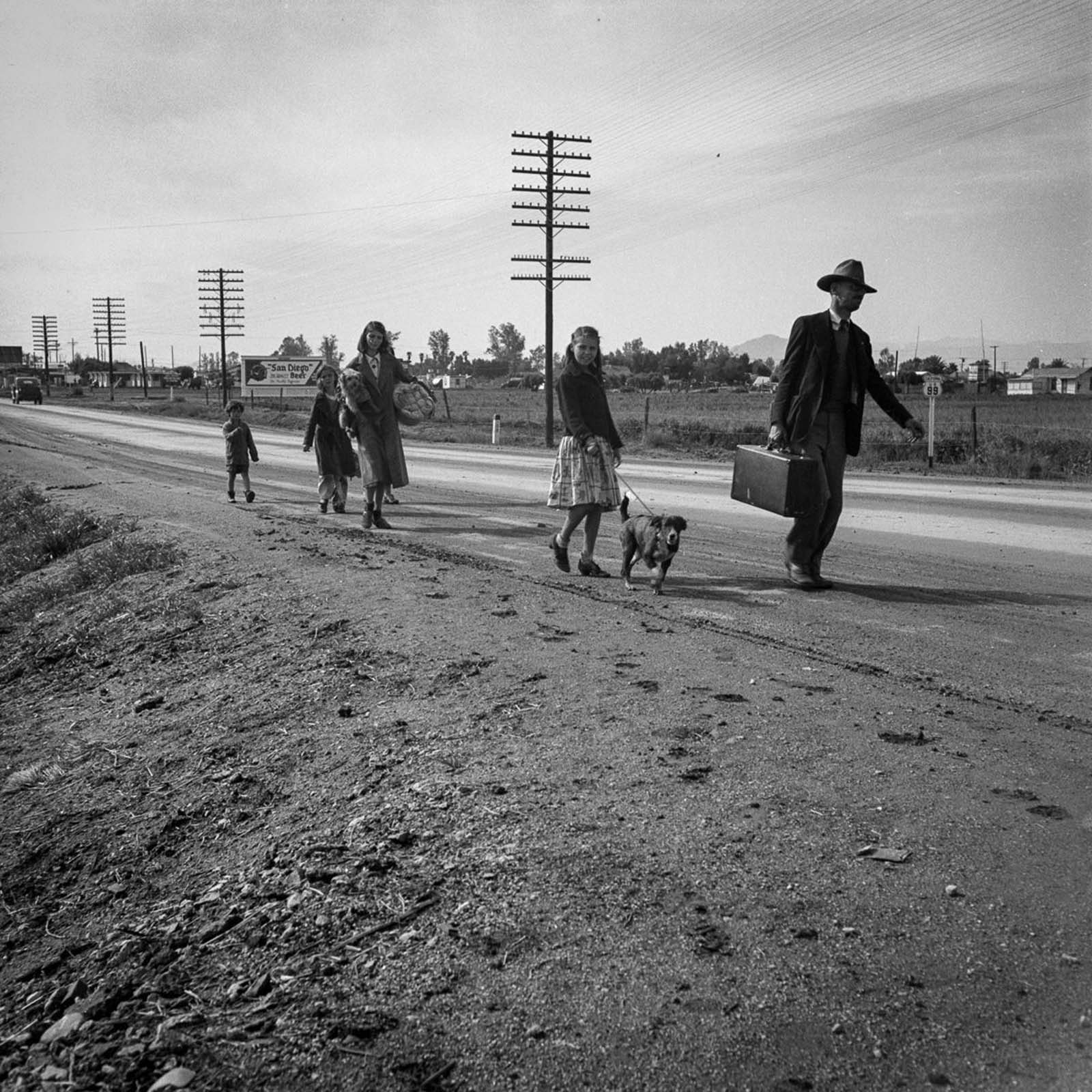 A homeless cotton-picking family of seven walk on Highway 99 from Phoenix, Arizona to San Diego in search of relief. 1939.