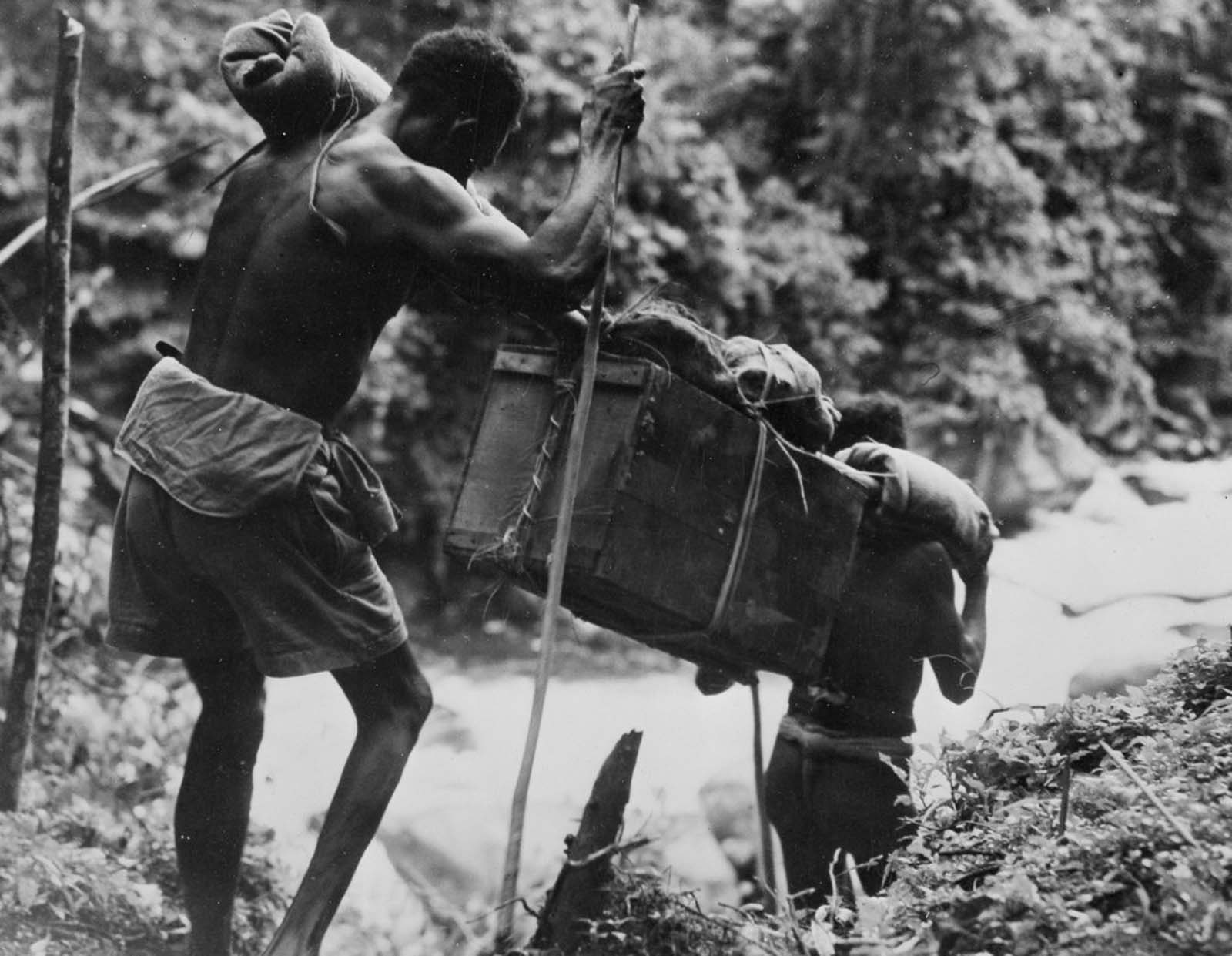 Carriers transport supplies through trackless jungle.