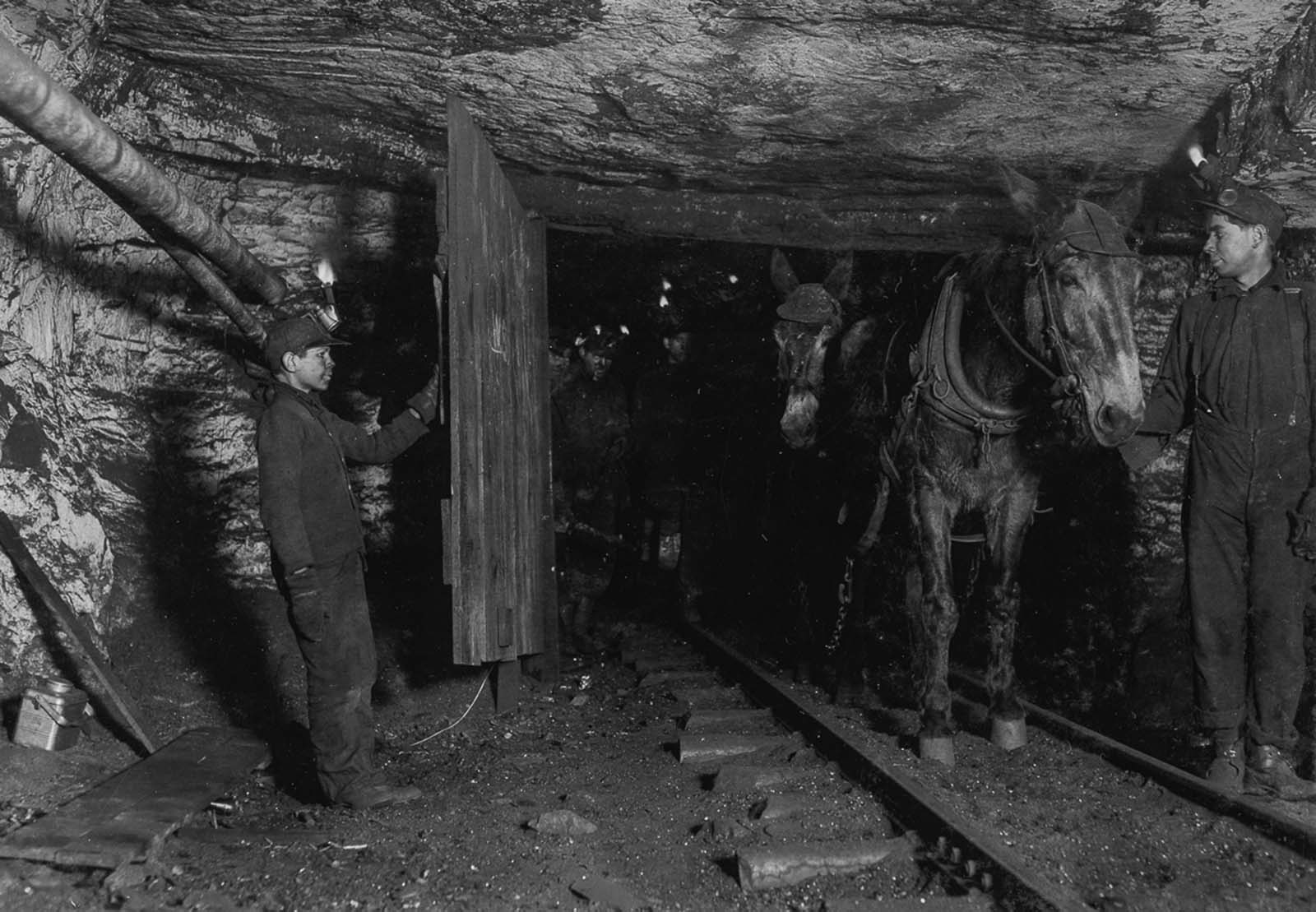 Willie Bryden, age 14, holds the door for a mule cart in a Pennsylvania mine. 1911.