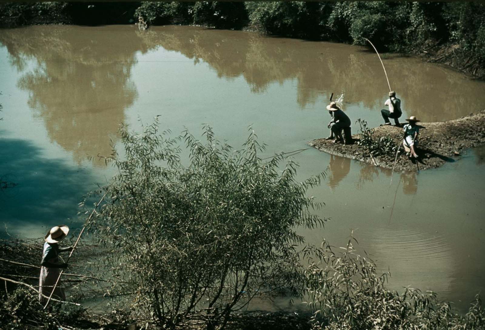 People fish in a creek near Belzoni, Mississippi. 1939.