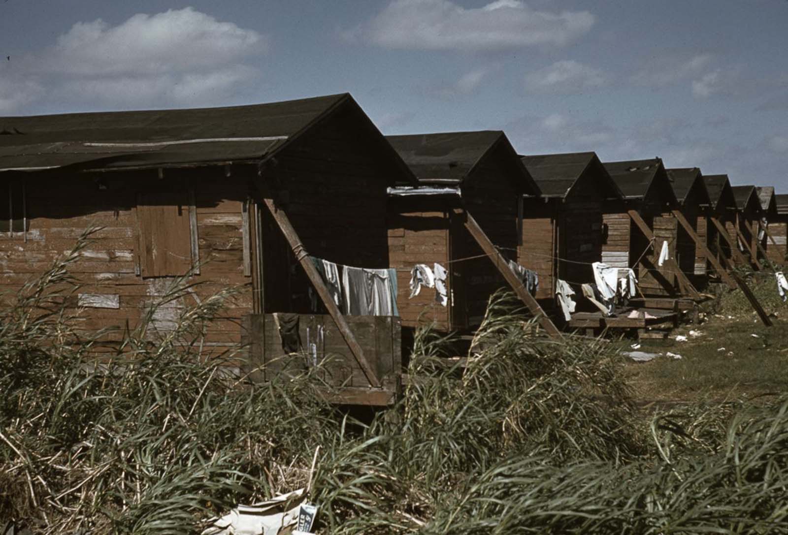 Condemned housing for migrant sharecroppers in Belle Glade, Florida.