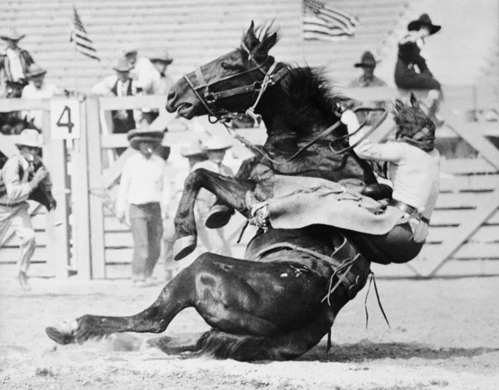 cowgirls west photographs
