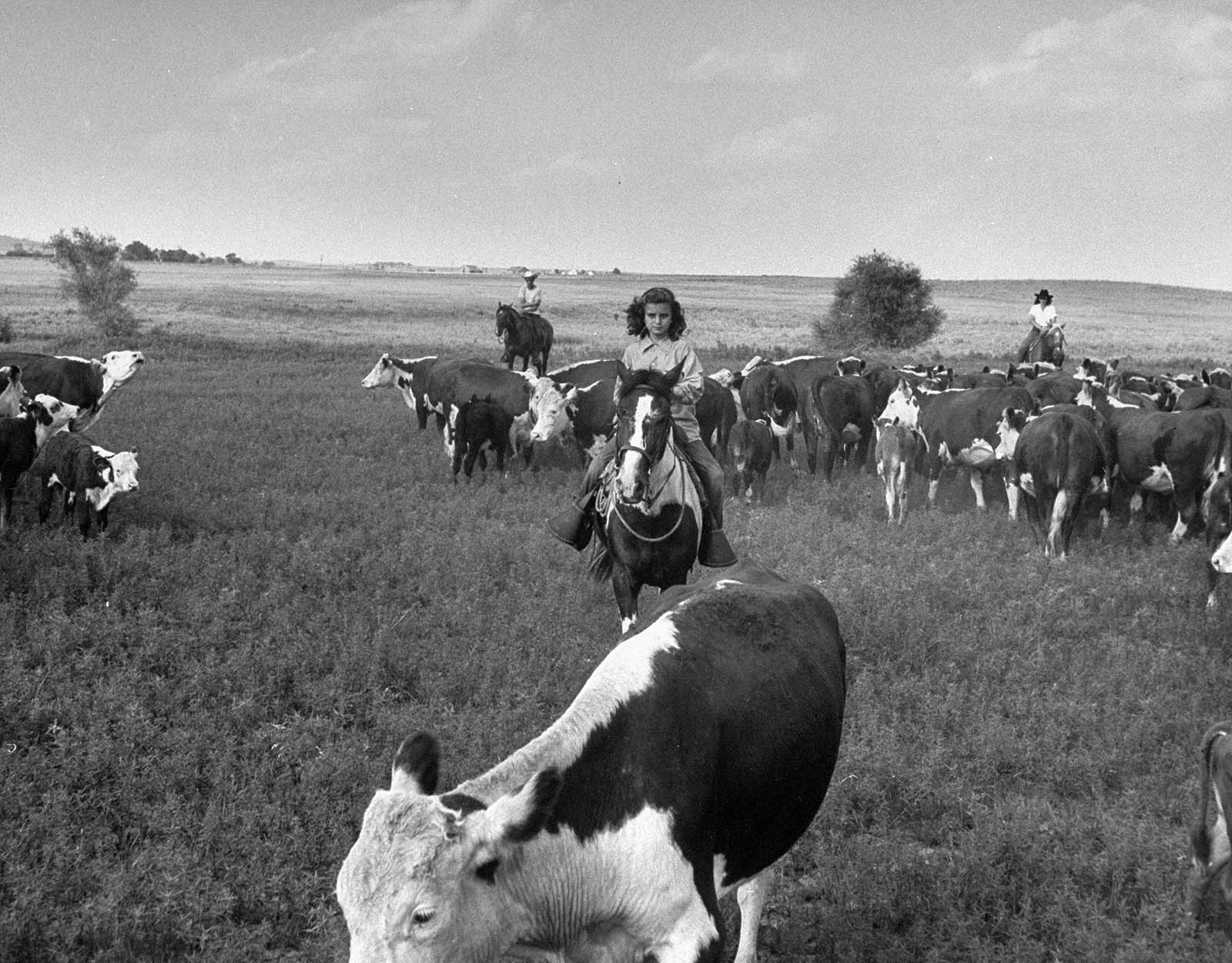 cowgirls west photographs