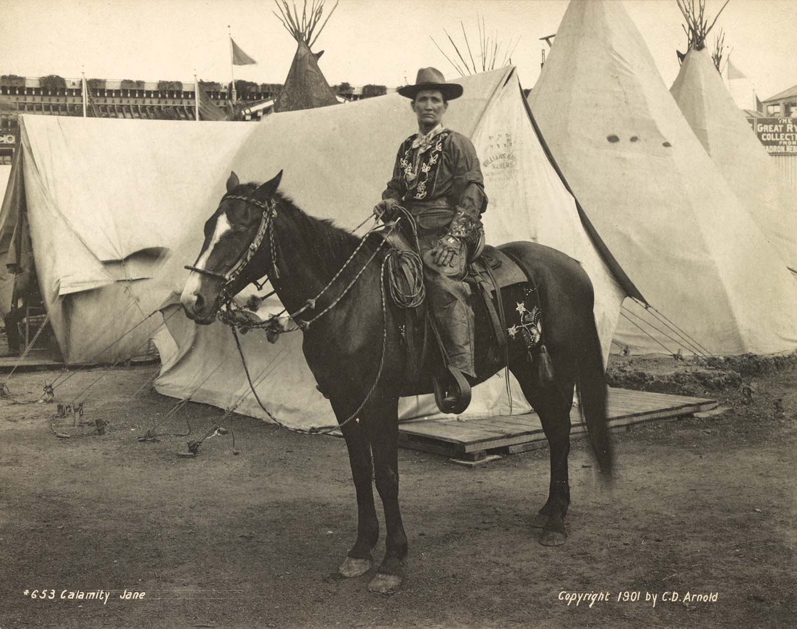 cowgirls west photographs