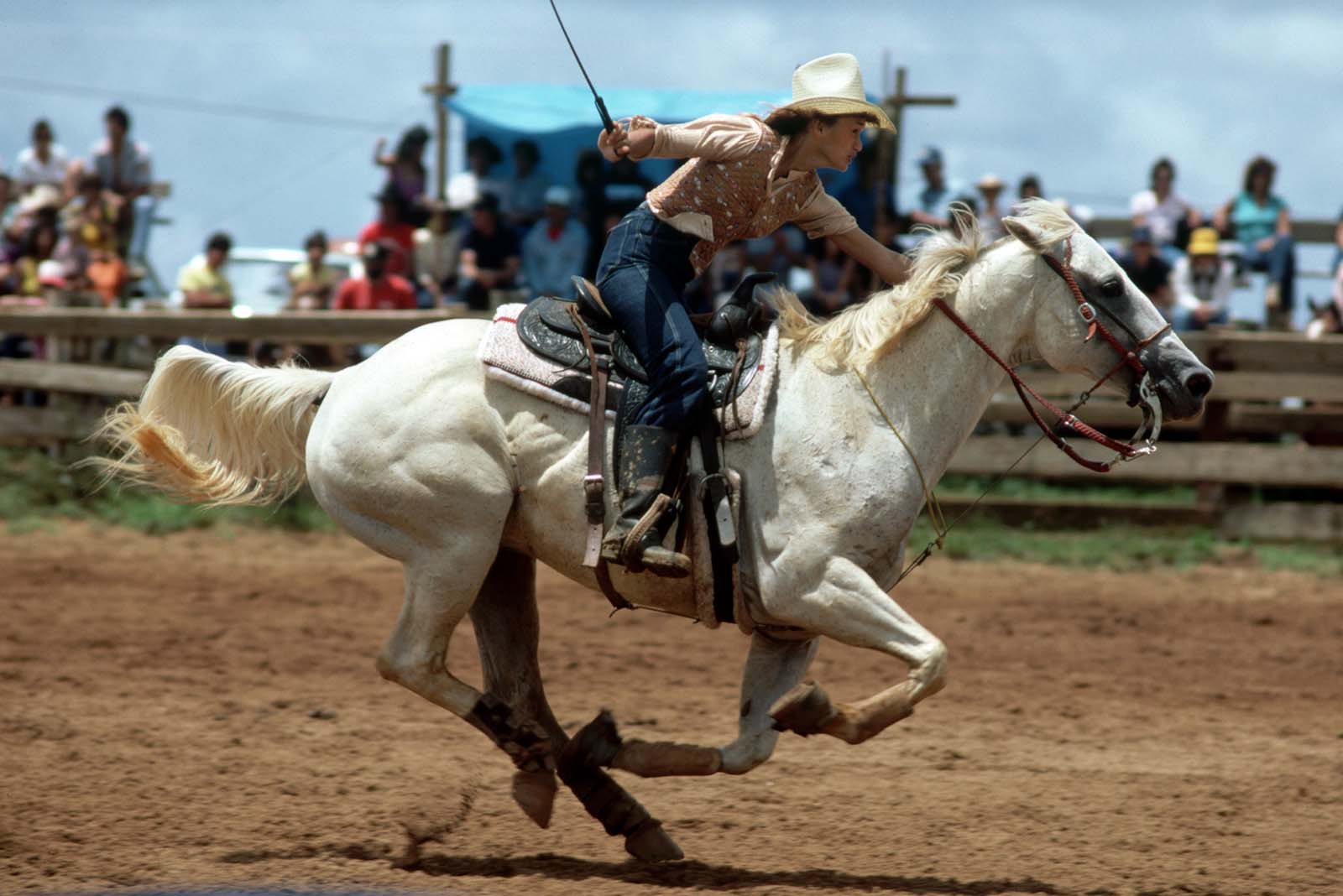 cowgirls west photographs