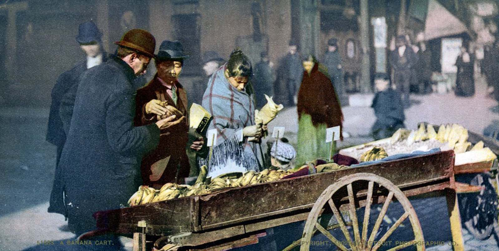 Photochrom New York