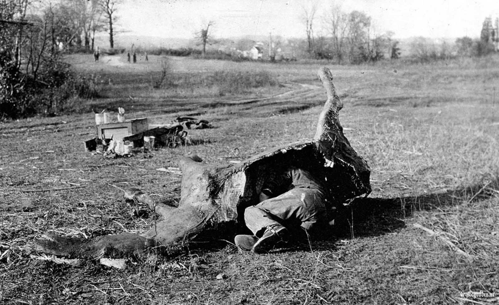 False horses, camouflage to allow snipers a place to hide in no-man's land.