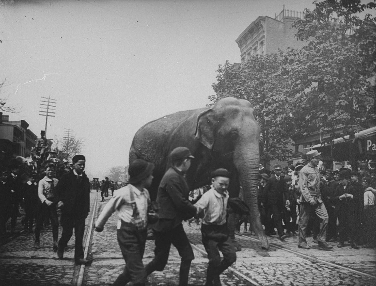 new york city photographs wallace levison