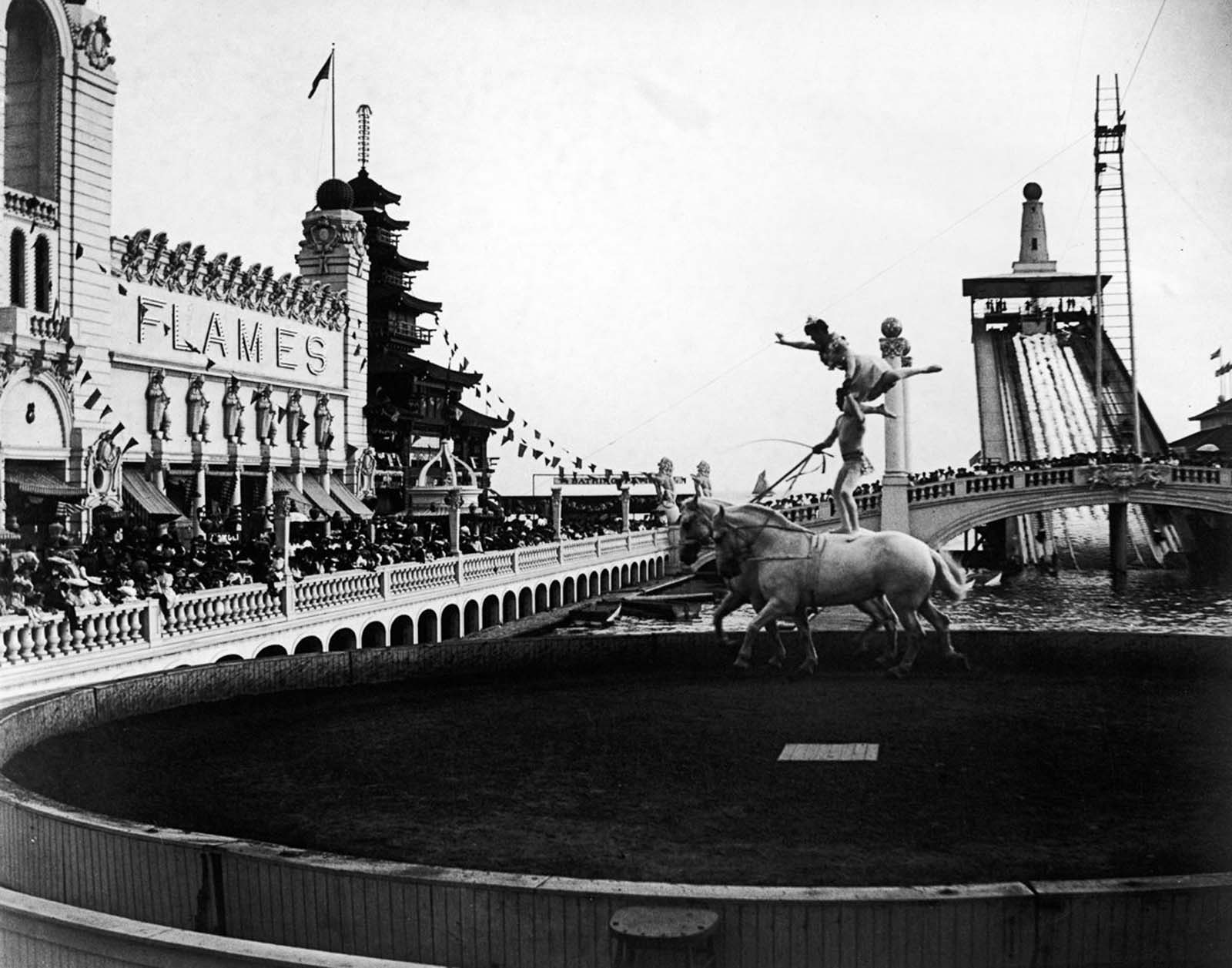 new york city photographs wallace levison