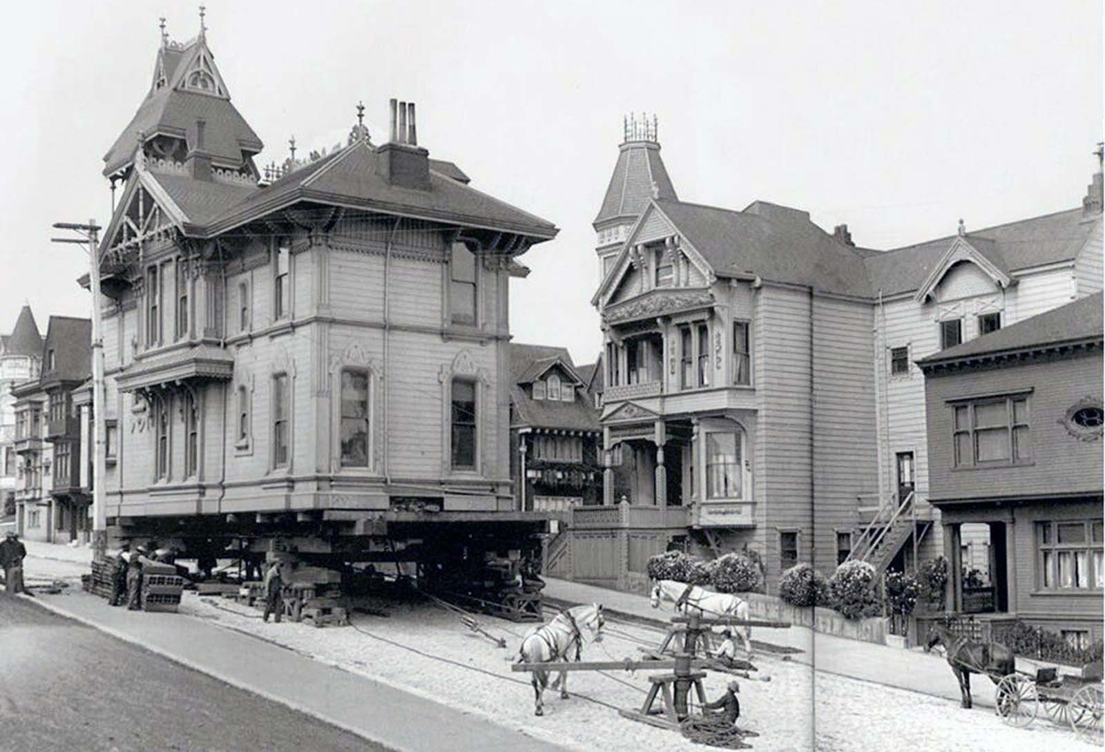 vintage photographs move house horses