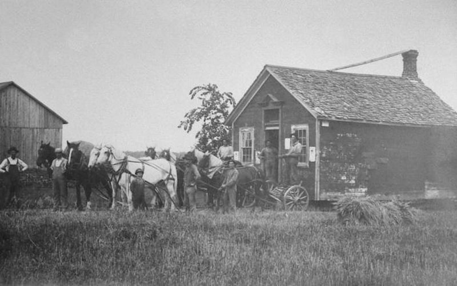 vintage photographs move house horses