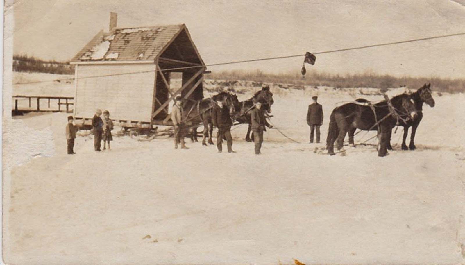 vintage photographs move house horses