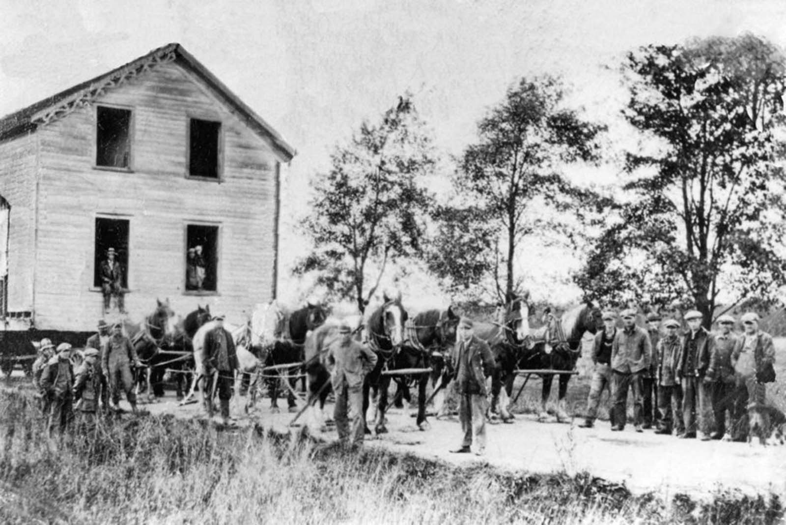 vintage photographs move house horses