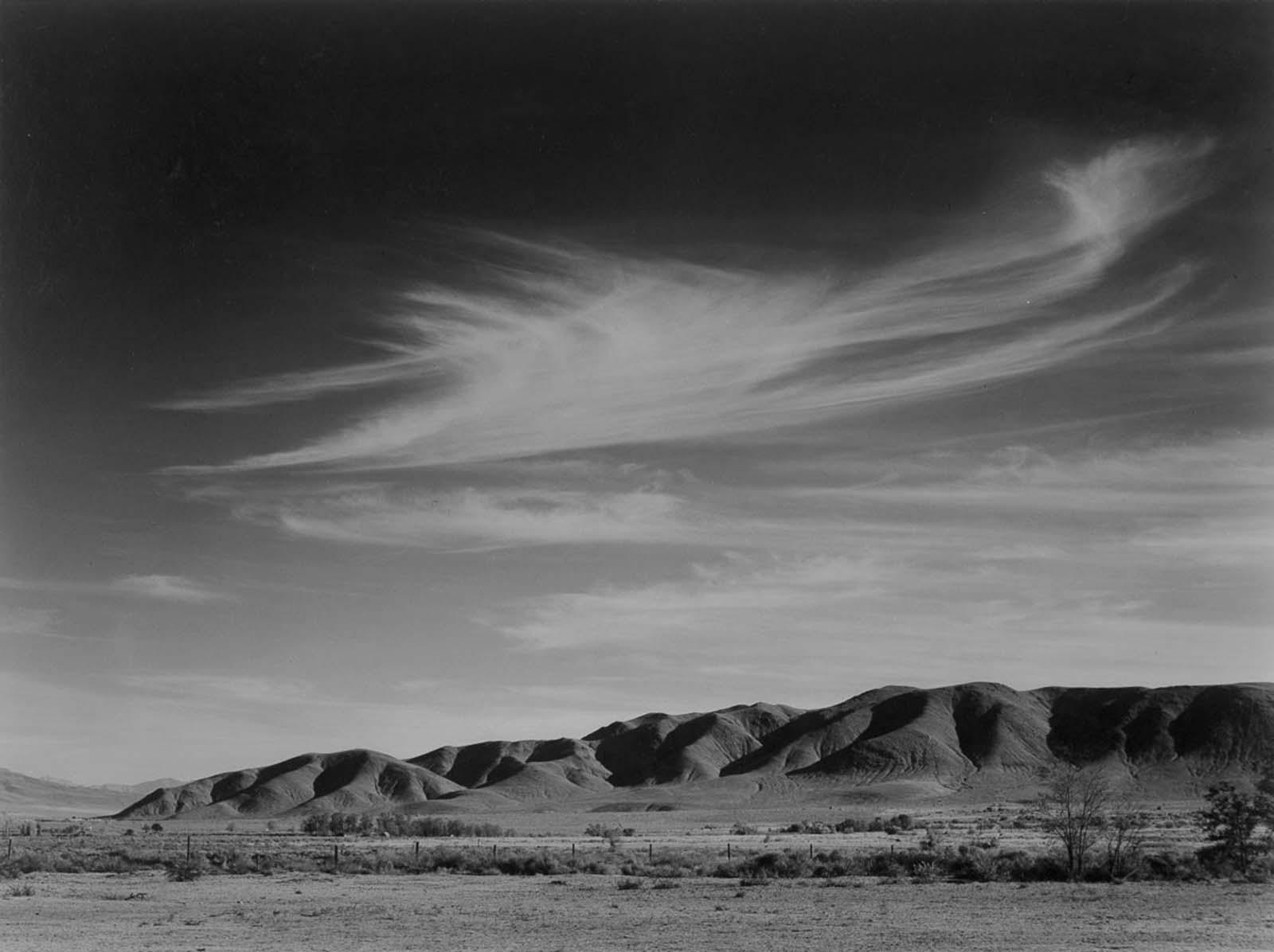 manzanar internment camp photographs