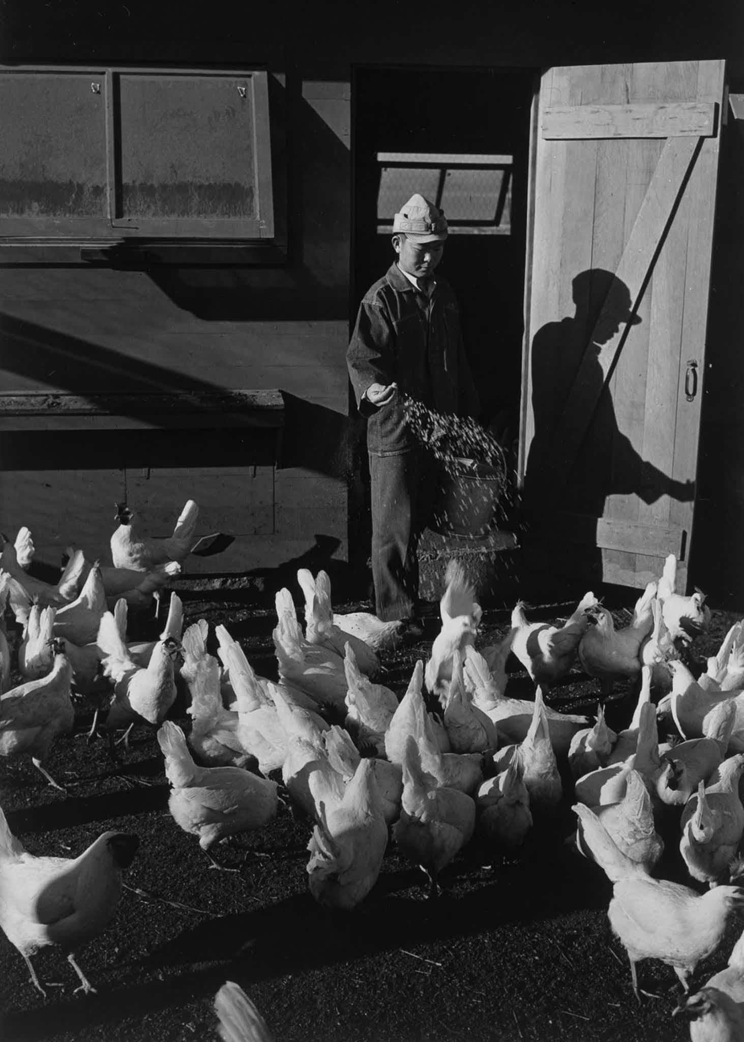 manzanar internment camp photographs