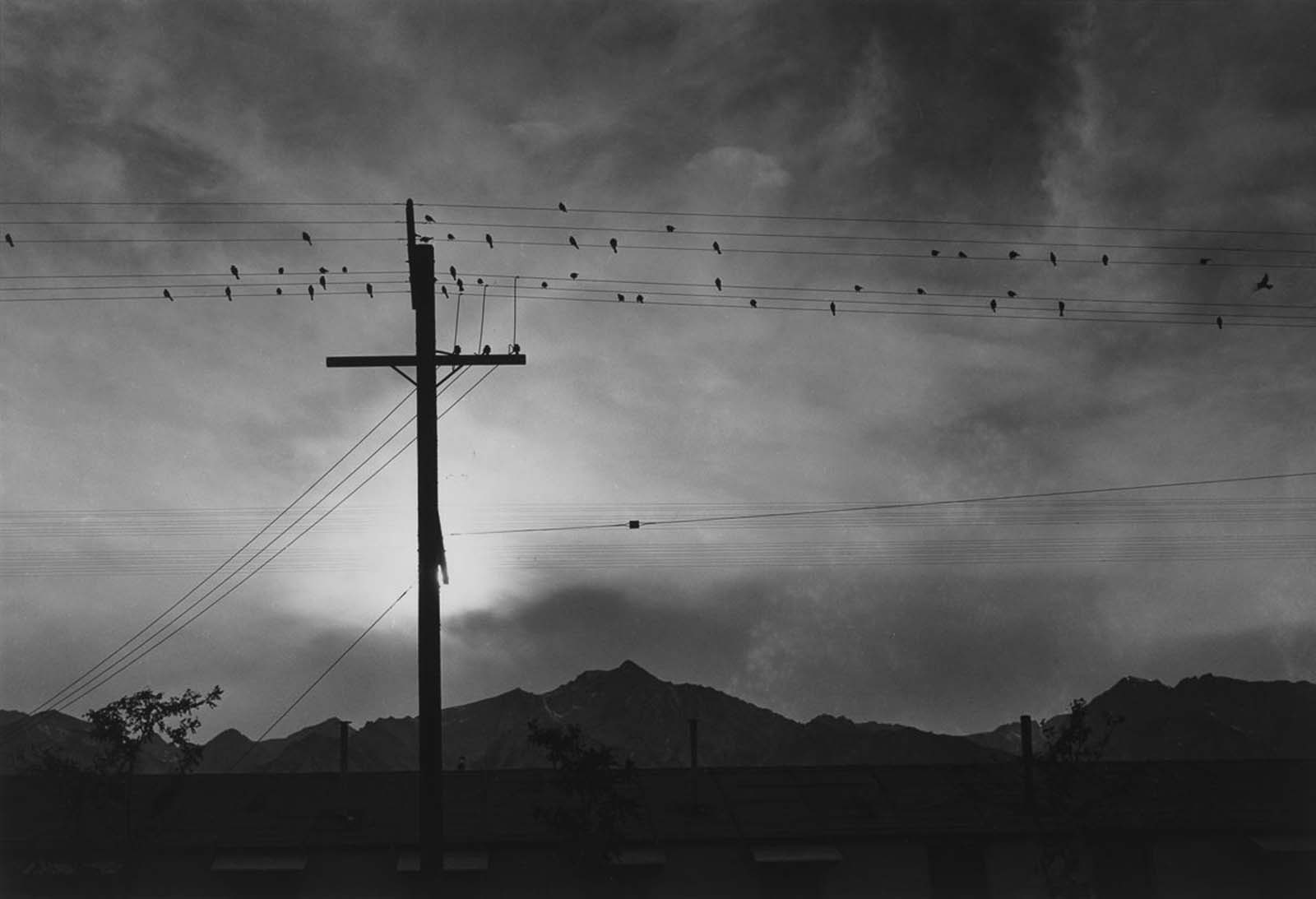 manzanar internment camp photographs