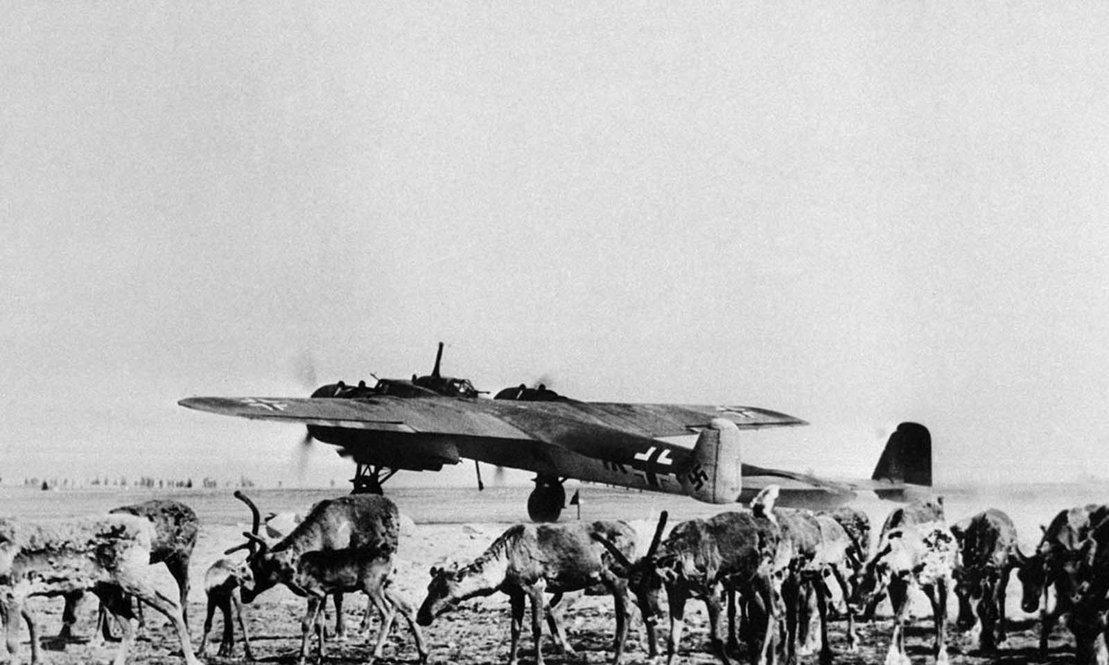 Operation Barbarossa in rare pictures