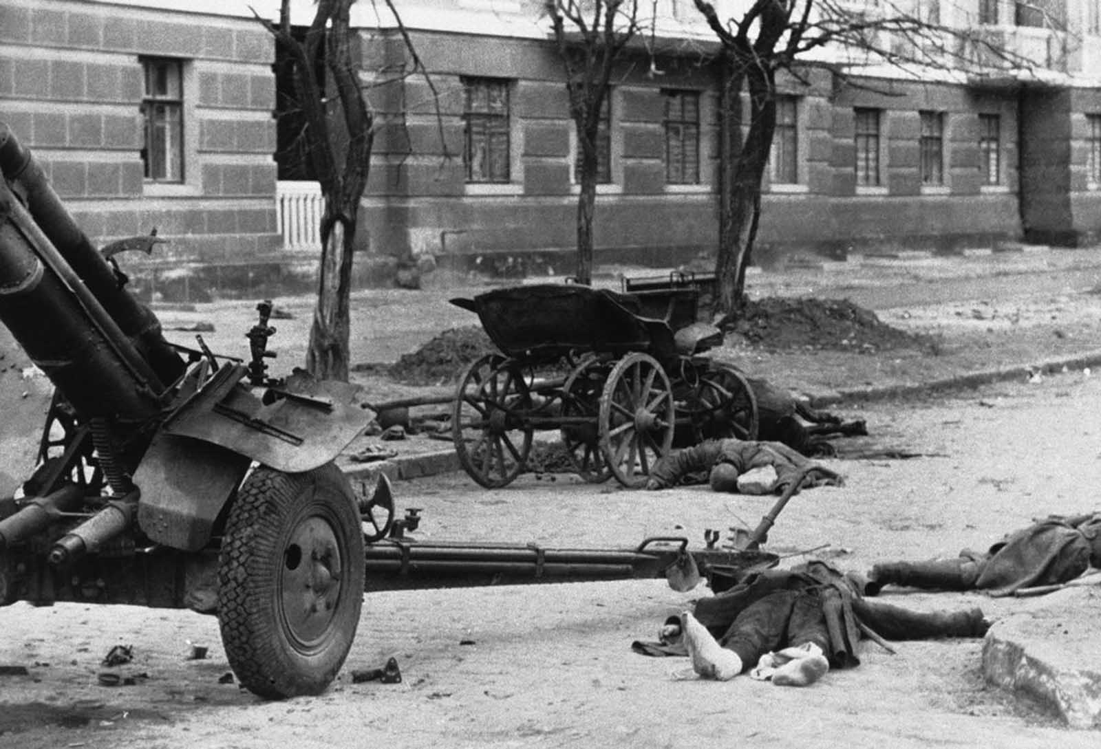 Operation Barbarossa in rare pictures