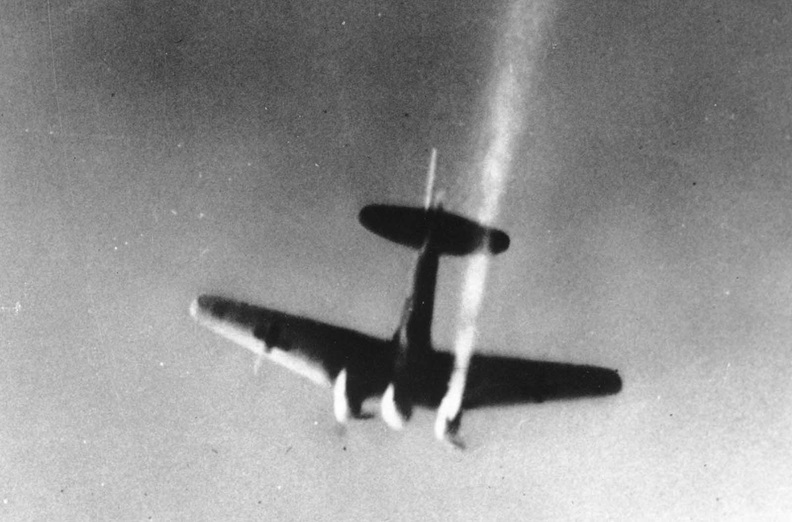 Operation Barbarossa in rare pictures