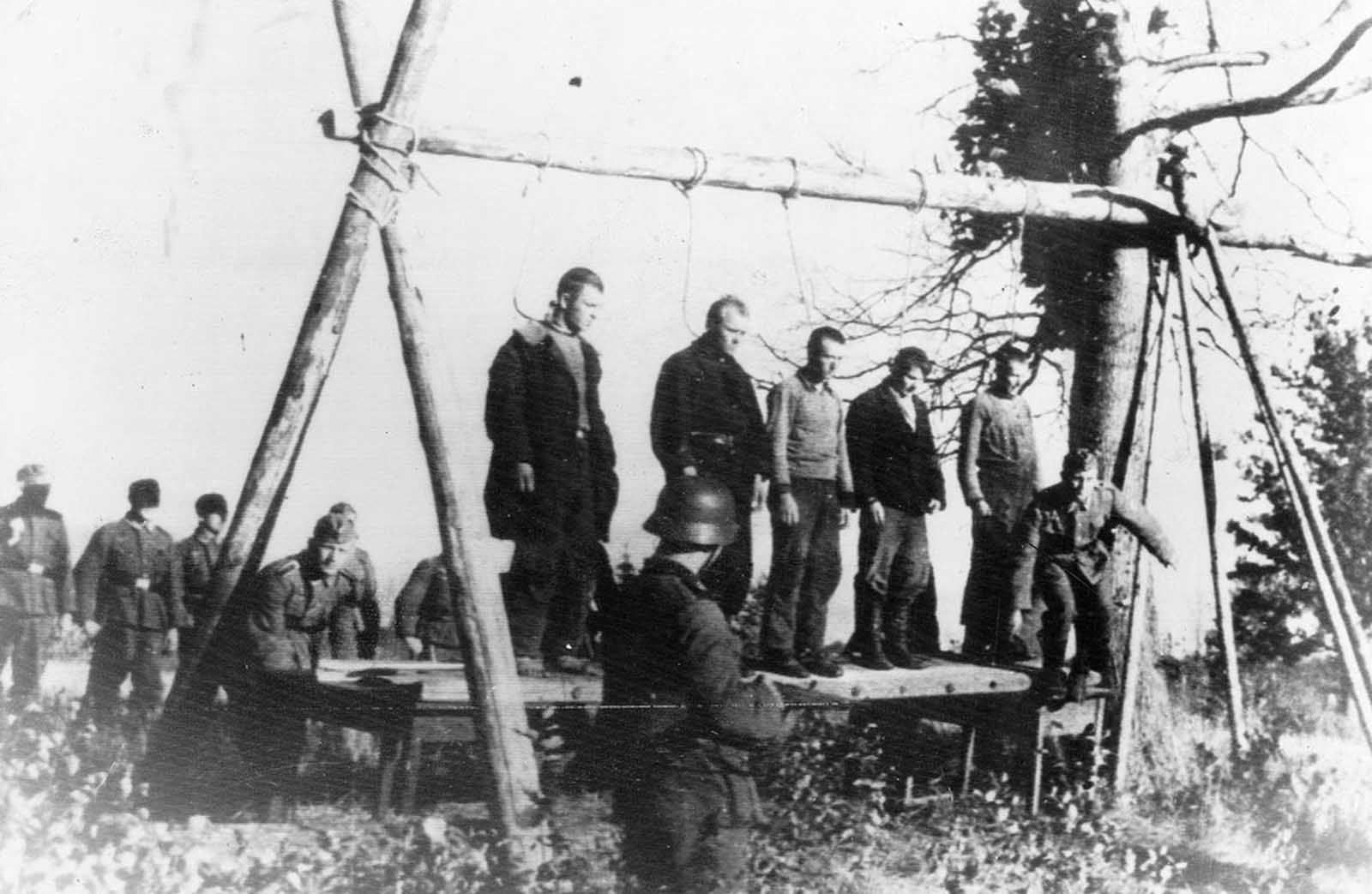 Operation Barbarossa in rare pictures