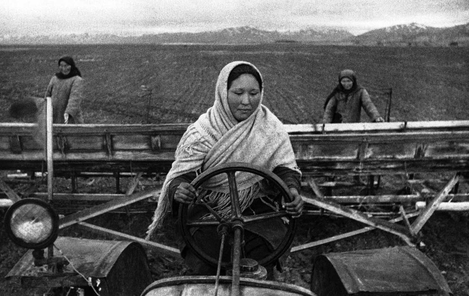 Young Soviet girl tractor-drivers of Kirghizia (now Kyrgyzstan), efficiently replace their friends, brothers and fathers who went to the front. Here, a girl tractor driver sows sugar beets on August 26, 1942.