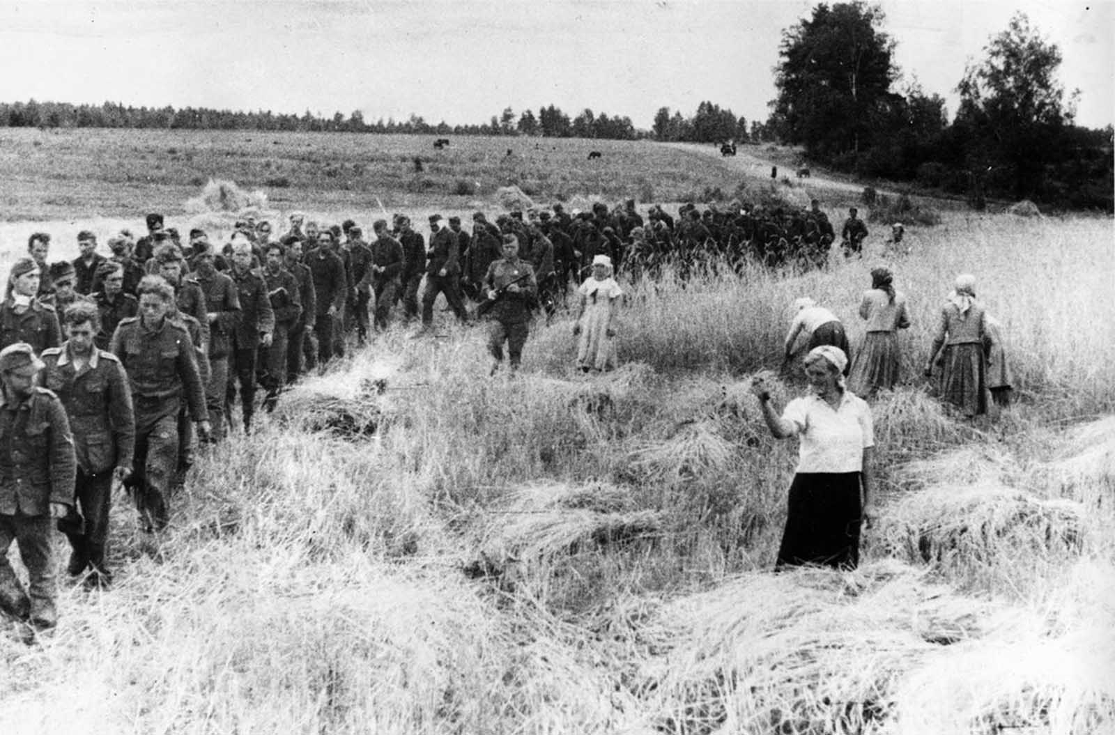 A Soviet woman, harvesting a field torn by shells only a short time ago, shakes her fist at German prisoners of war as they march eastward under Soviet guard in the U.S.S.R., on February 14, 1944.