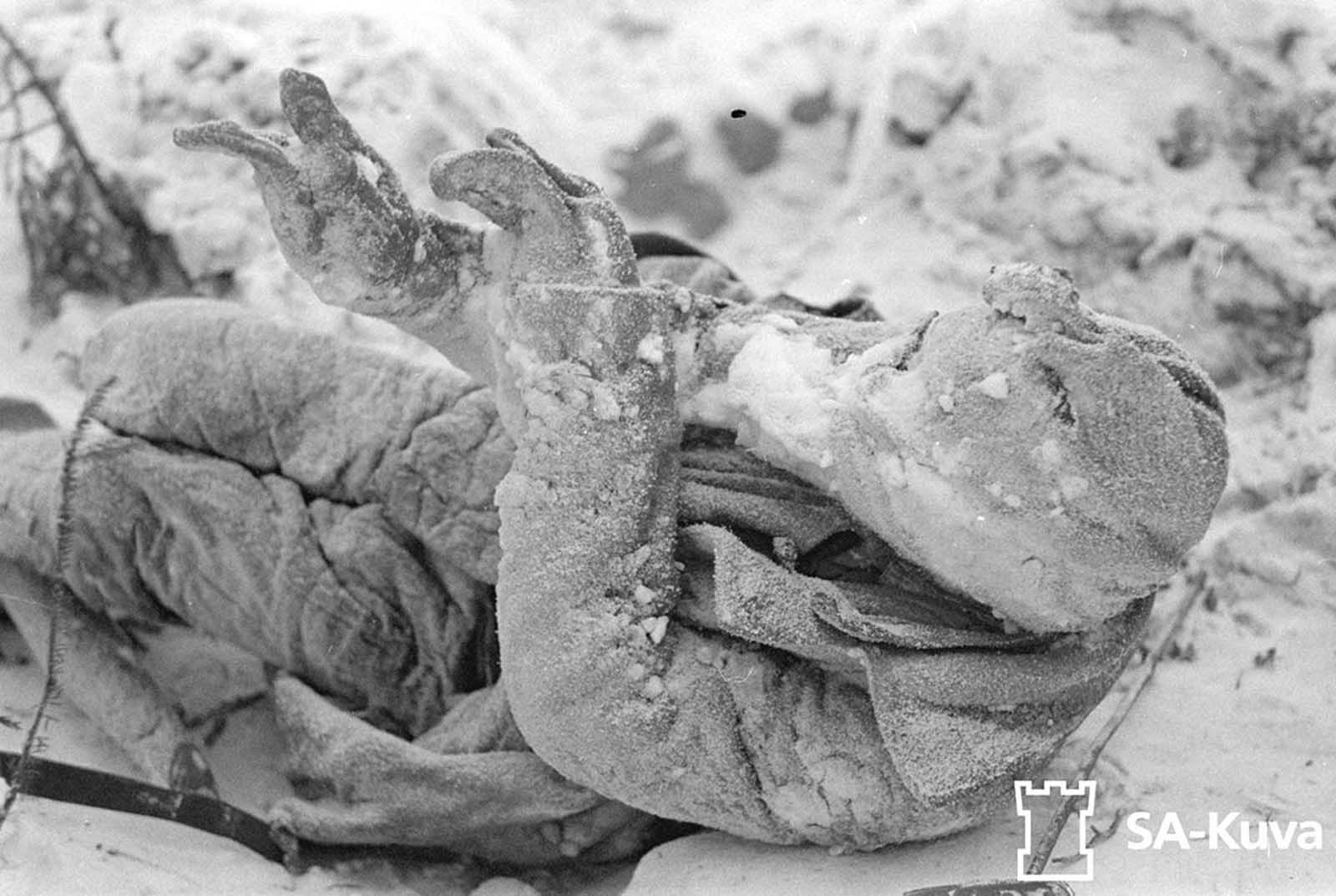 A dead soldier, his body frozen.